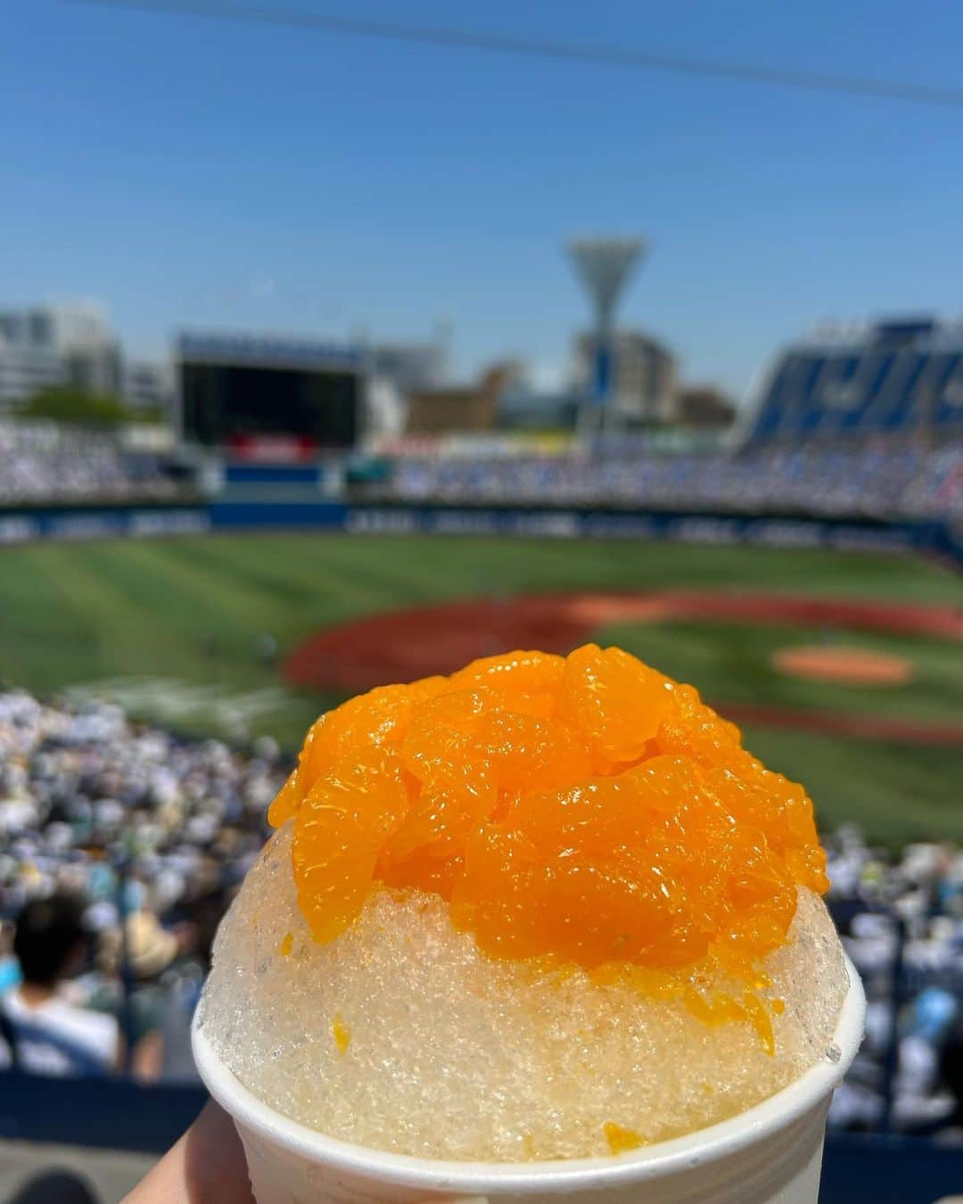 黒澤詩音さんのインスタグラム写真 - (黒澤詩音Instagram)「#全国高等学校野球選手権記念神奈川大会  #慶應義塾 #横浜高校 の決勝戦🔥  私が初めて高校野球のお仕事に携わったのが2014年、地元神奈川を担当するようになったのが2017年。  昨夏まで、6年間お世話になったハマスタ✨  今年は2拠点中継に切り替わり、ダイジェストの番組放送はなかったので久々に観客席で決勝を🏟️  記者席、カメ席で観ている時とは また違う景色を感じることができました！ （なによりいつも仕事に追われへろへろで球場を走り回っていたので。笑）  昨年、一昨年の夏と取材などで顔を合わせている選手たちが両校共にいて。 『どちらもガンバレ…！』  この気持ちでスタンドで試合の行方を見守りました。  優勝の慶應義塾高校。 本当におめでとうございます！  夏は、2018年の100回大会ぶりとなりますね。 森林監督の言葉選びが個人的にすごく好きで、いつも取材時には務めていた代表質問を含め、沢山質問をさせていただきその都度必死に書き留めておりました。 昨日のインタビューも拝見していて心がガシッと掴まれました。  準優勝の横浜高校。 一年生の頃からみている緒方漣選手にはこの3年の夏、是非実際お話を聞きたかった気持ちに駆られました。 杉山選手も口にされていましたが、次のステージでの活躍を楽しみにしたいですね。  そして、 この夏☀️就任させていただいた、 茨城高校野球応援部長📣として、  茨城県大会の決勝も同時に見守りながらの 熱い、暑い夏の一日でした。  茨城は、土浦日大が甲子園への切符奪取。  9回表に一挙5得点の大逆転。 高校野球にはドラマがあると再確認。  そんな茨城大会については、 明日収録があります⚾️ 8/1〜放送でたっぷりお届けします📺  高校野球の魅力は、人生の中の限られた時間の中でその全てを捧げ青春を全うする姿。負けたら終わりのトーナメントだからこそ生まれるドラマに胸を打たれる。  試合に負けたとて、その先続いていく各選手達のその先の人生。勝ったからこそ進み得たその先の舞台での姿。  その全てをこの先も見つめていきたいですね。  舞台は、いよいよ甲子園へ。 まだ熱い夏が続きます☀️  #全国高等学校野球選手権大会  #高校野球 #野球 #野球観戦  #横浜スタジアム」7月27日 17時13分 - shionkurosawa_official