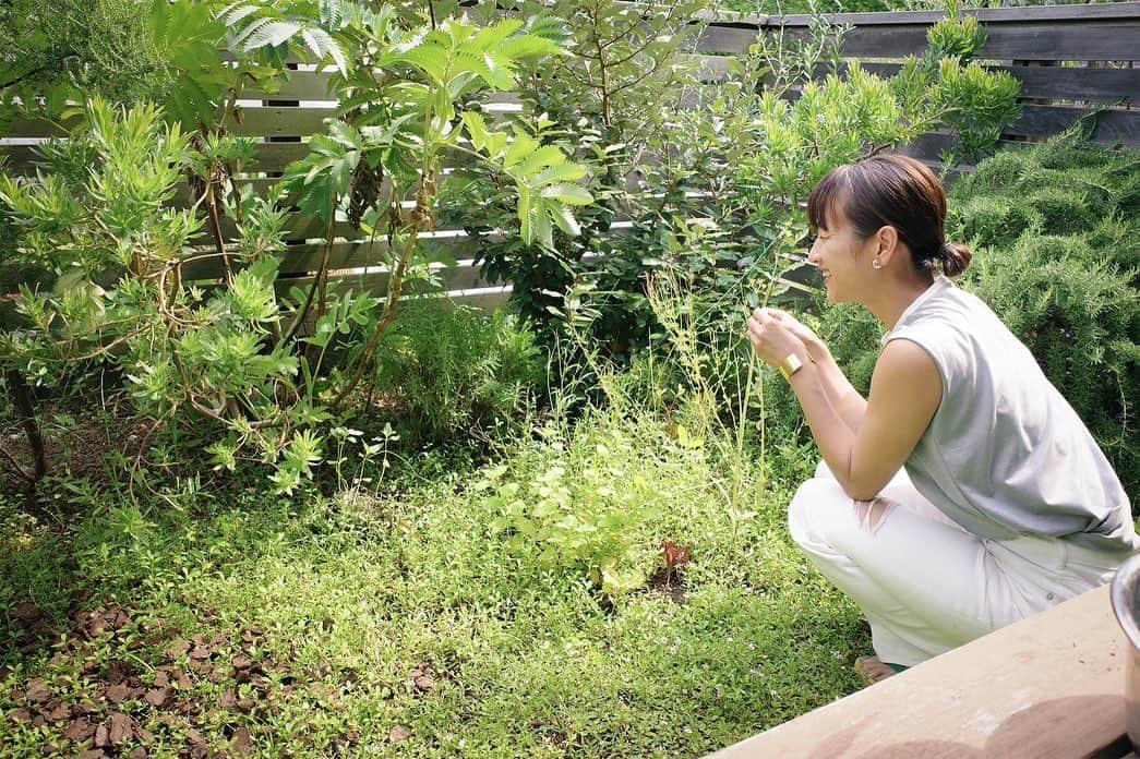 前田有紀のインスタグラム：「「自然を部屋に持ち込もう！」をテーマに植物のあるライフスタイルを提案するAND PLANTS @andplants.jp さんでご取材いただいた記事が公開されました。  久しぶりの自宅でのインタビューで緊張していましたが、"植物が好き！"という共通点もあって、気がつくと植物愛を長く話し込む時間になりました。  とにかく花を飾るハードルを下げたい私として、気軽に楽しめるポイントもお伝えさせていただきました！ よかったら記事読んでくださいね🌿 詳しくは @andplants.jp さんのサイトで！  写真一枚目は、無計画に広がってゆくリッピアに覆われた庭😅  tops: @and__her」
