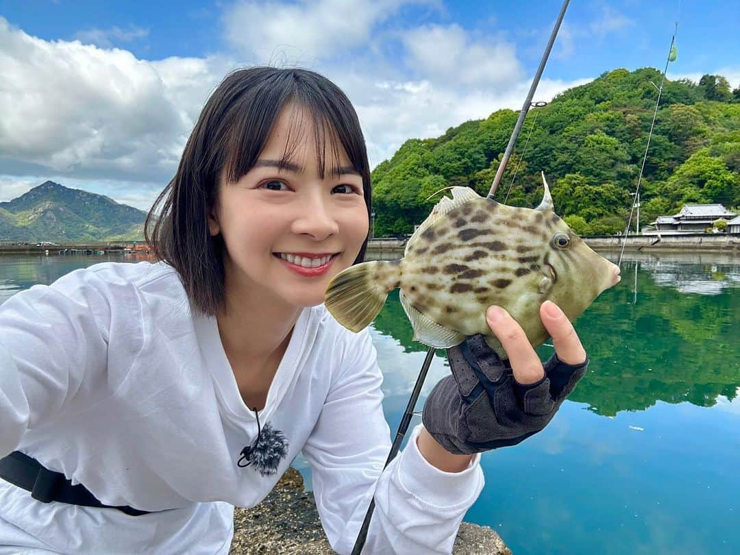 阪本智子さんのインスタグラム写真 - (阪本智子Instagram)「🎣♡  カワハギ！  釣るのも食べるのもベスト3に入る魚🐟✨ たくさん釣ってたくさん食べたいな🤤  #釣り #カワハギ #釣魚 #魚料理 #兄弟ママ #阪本智子」7月27日 18時09分 - tomoko_sakamoto423