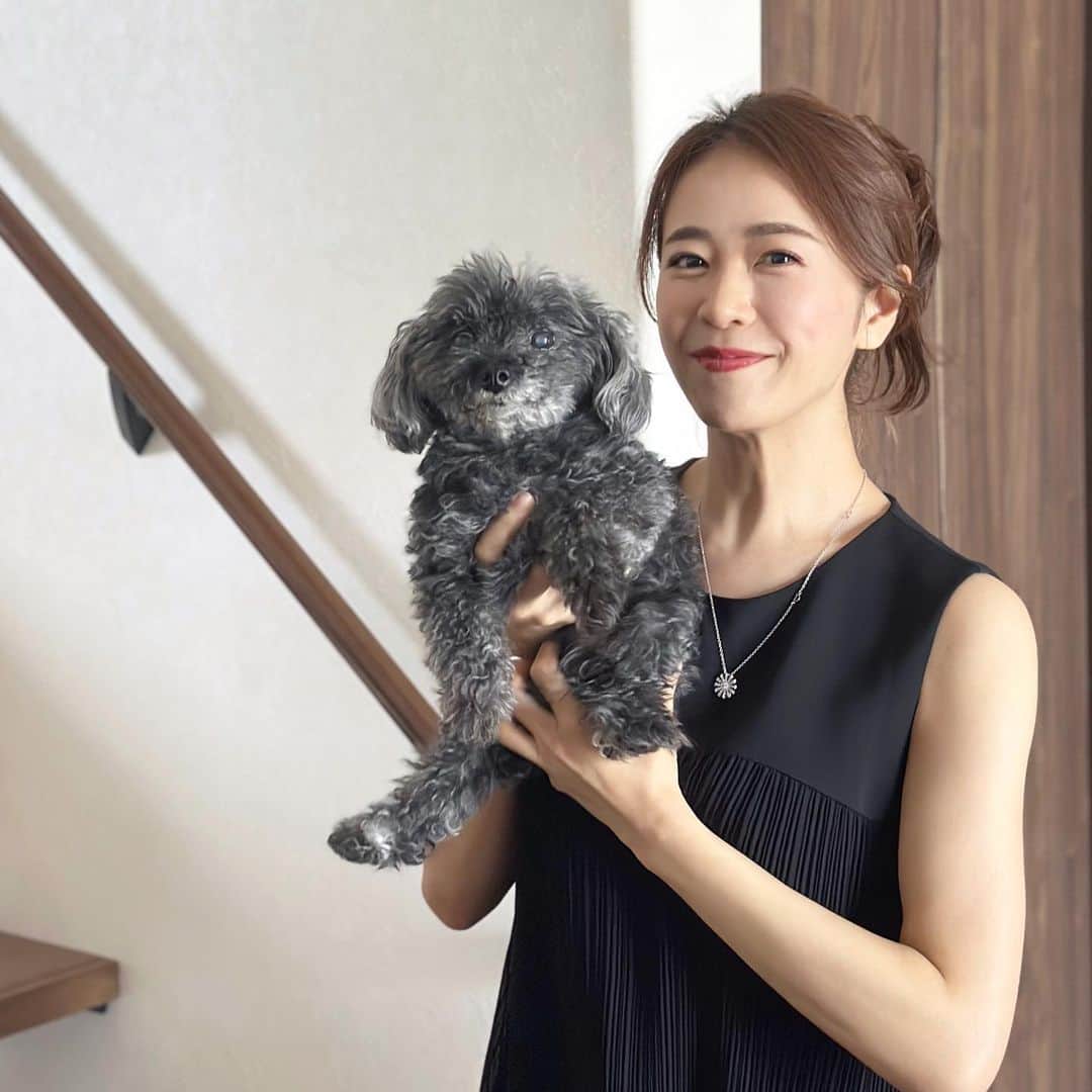 しろまっするさんのインスタグラム写真 - (しろまっするInstagram)「･ Just a calm afternoon 🏠🐶💗  Coco🐶も私も実家が好きすぎて長居してしまった♡ いつまでもお世話になりまくりな娘でごめんなさい(笑)  両親には本当に感謝してるし、 いつまでも健康で長生きして欲しい🥺✨️  お世話になってばかりではなく、必ず親孝行します🩵笑  #poodlegram #teacuppoodle #blackpoodle #ティーカッププードル女の子 #愛犬との時間 #しろの相棒 #しろまっする」7月27日 18時43分 - shiroancoco