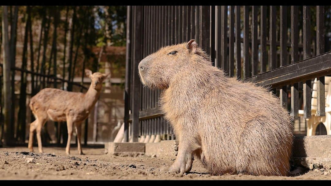 渡辺克仁のインスタグラム