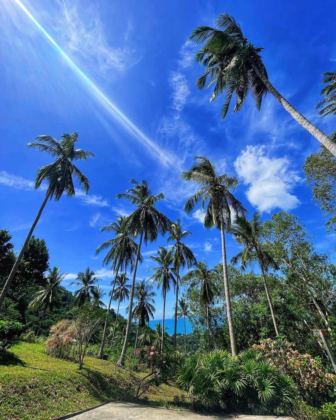 ラファエレ・ティモシーさんのインスタグラム写真 - (ラファエレ・ティモシーInstagram)「6月 タイ🇹🇭 ☀️🏝️」7月27日 19時07分 - timlafaele