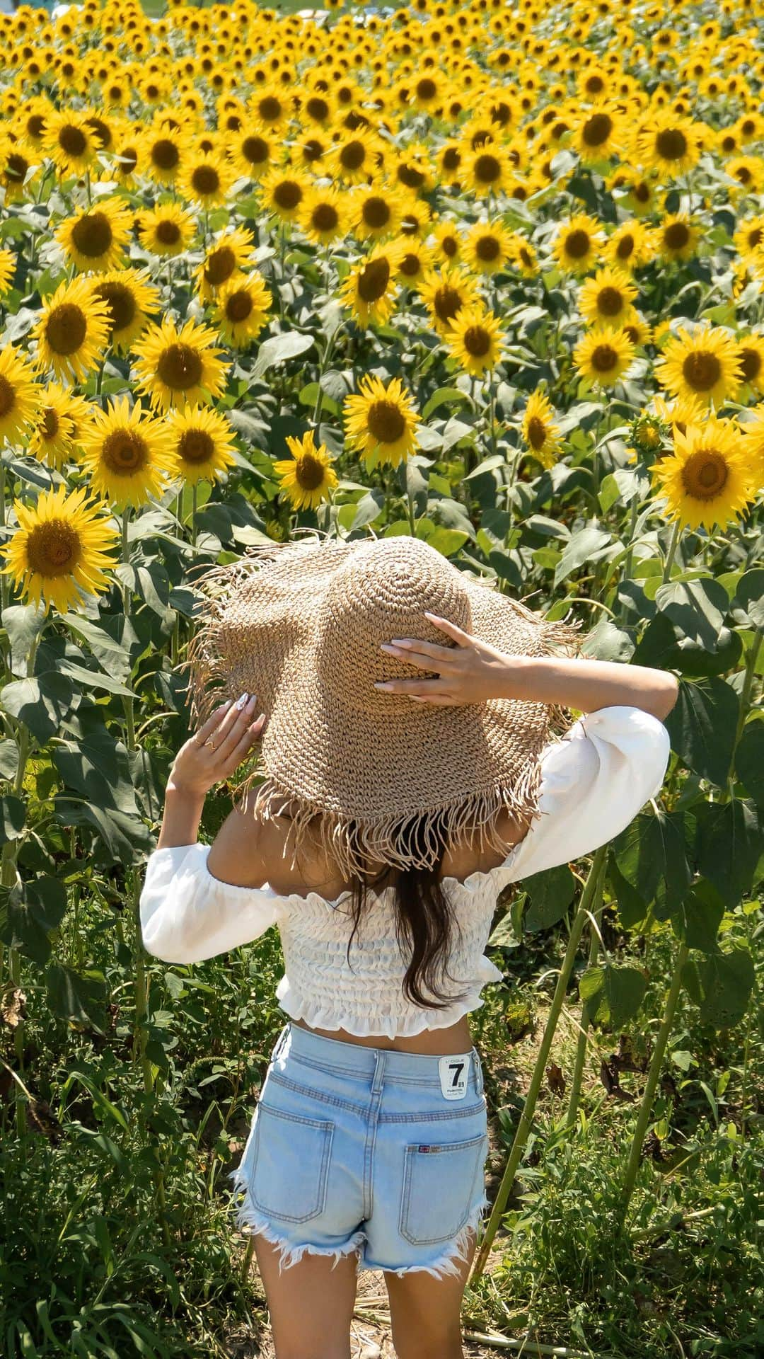 Marika Kajiwaraのインスタグラム：「ひまわり畑🌻 ＊ こんなに満開なの初めてで しかもとっても沢山のひまわりに ひたすら感動した日🥺✨ ＊ 行きにくい場所にあるからか こんなに立派なのに人も少なかったから 来年も絶対来たい場所になりました😌♡ ＊ ＊ ＊ #ひまわり畑 #ひまわり #小野市立ひまわりの丘公園 #兵庫県 #関西 #関西おでかけ #旅行 #女子旅 #タビジョ #trip #tabijyo #traveler #marika_trip」