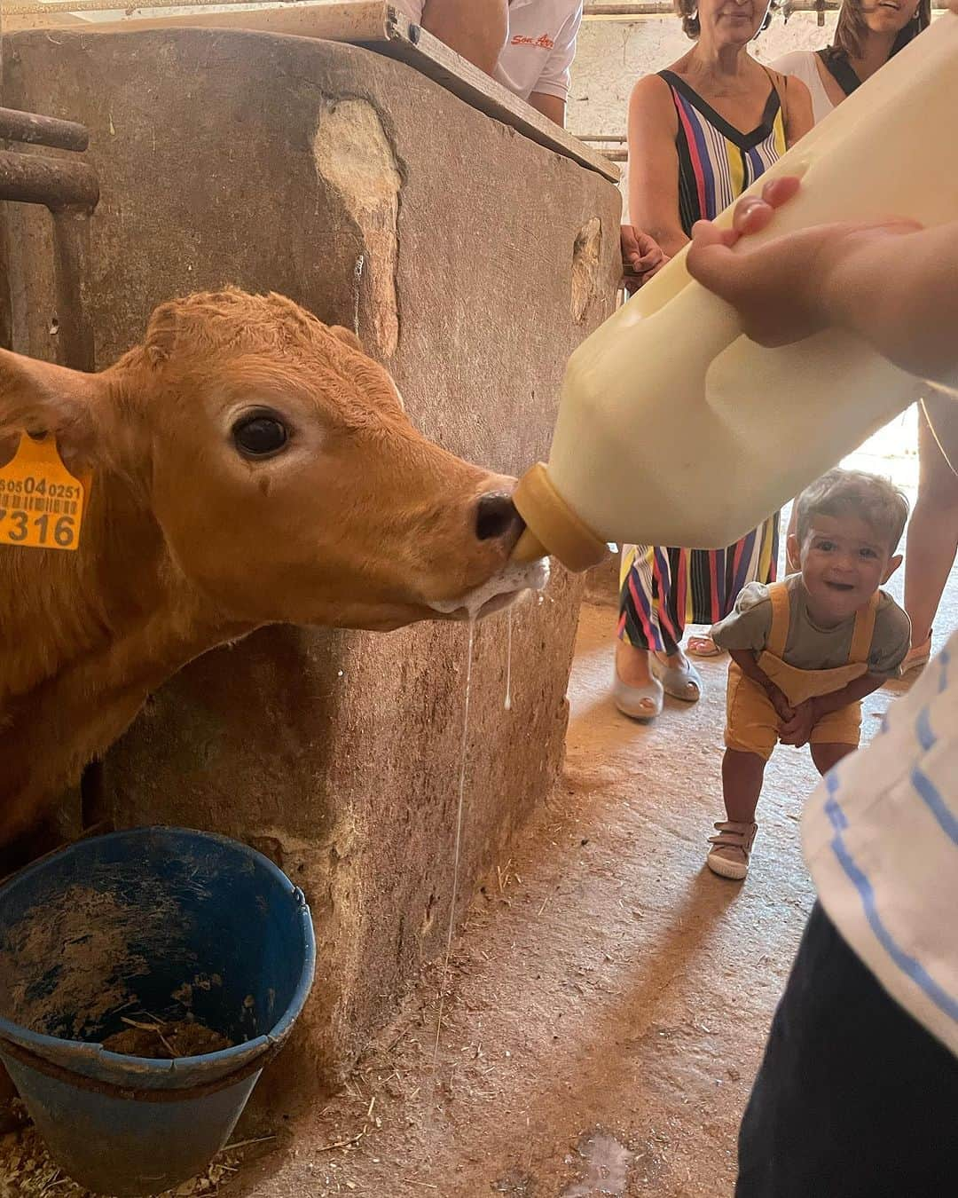 大野南香さんのインスタグラム写真 - (大野南香Instagram)「*Cheese making experience🧀  I had a chance to visit this lovely farm in Menorca, Spain and experience cheese making for the first time in my life! I really like to get to know the local foods and culture through experience.  Cheese is not my speciality so I was really happy to learn about it. And surprisingly I found some similarly to tofu!   This experience reminds me of the lovely local tofu producer in Okinawa (see the last photo or my post in Dec 2020).  I'll post a video of the experience later 🫶  旅行に行くなら、現地の人や食べ物に触れて文化や歴史を学ぶのが好きだなぁ☺️ 今回はスペインのメノルカ島で農家さん訪問して、人生初のチーズ作りに挑戦！  チーズあんまり好きじゃないし食べないからこそ、体験して学べてとっても嬉しかった。  どこかしら豆腐と似てる部分があって、昔沖縄の島豆腐屋さん訪問した時のことがすごく懐かしく感じた。豆腐は畑のチーズみたいだね。  #everydayhappy ☺︎  #cheese #tofu #menorca」7月27日 19時44分 - minaka_official