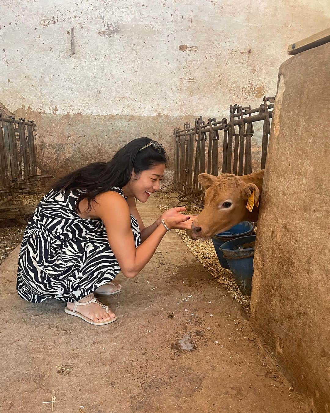 大野南香さんのインスタグラム写真 - (大野南香Instagram)「*Cheese making experience🧀  I had a chance to visit this lovely farm in Menorca, Spain and experience cheese making for the first time in my life! I really like to get to know the local foods and culture through experience.  Cheese is not my speciality so I was really happy to learn about it. And surprisingly I found some similarly to tofu!   This experience reminds me of the lovely local tofu producer in Okinawa (see the last photo or my post in Dec 2020).  I'll post a video of the experience later 🫶  旅行に行くなら、現地の人や食べ物に触れて文化や歴史を学ぶのが好きだなぁ☺️ 今回はスペインのメノルカ島で農家さん訪問して、人生初のチーズ作りに挑戦！  チーズあんまり好きじゃないし食べないからこそ、体験して学べてとっても嬉しかった。  どこかしら豆腐と似てる部分があって、昔沖縄の島豆腐屋さん訪問した時のことがすごく懐かしく感じた。豆腐は畑のチーズみたいだね。  #everydayhappy ☺︎  #cheese #tofu #menorca」7月27日 19時44分 - minaka_official