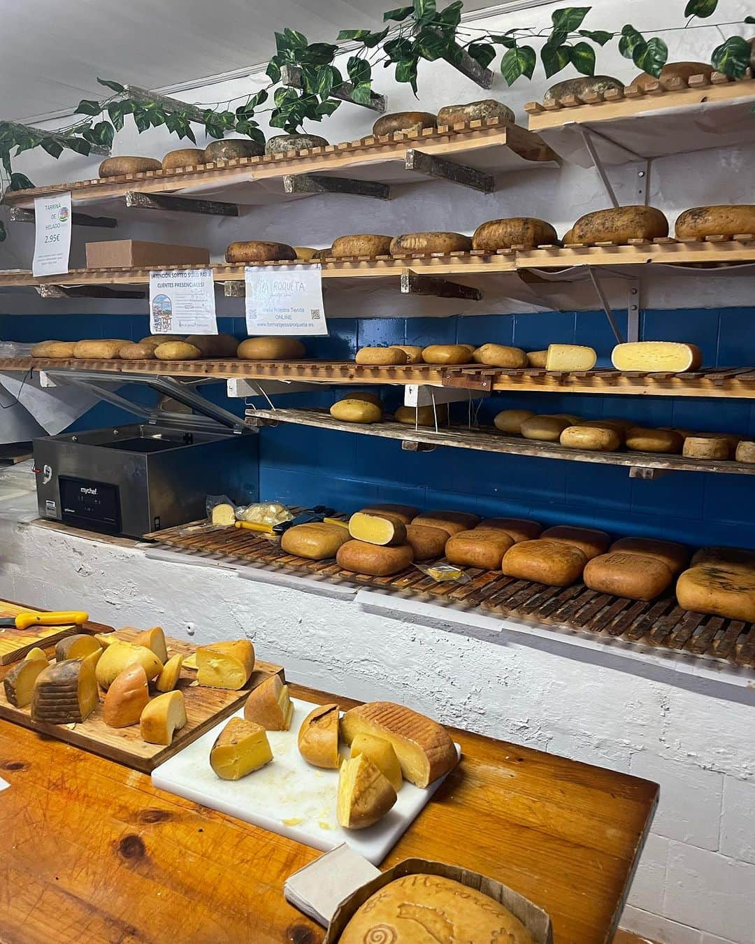 大野南香さんのインスタグラム写真 - (大野南香Instagram)「*Cheese making experience🧀  I had a chance to visit this lovely farm in Menorca, Spain and experience cheese making for the first time in my life! I really like to get to know the local foods and culture through experience.  Cheese is not my speciality so I was really happy to learn about it. And surprisingly I found some similarly to tofu!   This experience reminds me of the lovely local tofu producer in Okinawa (see the last photo or my post in Dec 2020).  I'll post a video of the experience later 🫶  旅行に行くなら、現地の人や食べ物に触れて文化や歴史を学ぶのが好きだなぁ☺️ 今回はスペインのメノルカ島で農家さん訪問して、人生初のチーズ作りに挑戦！  チーズあんまり好きじゃないし食べないからこそ、体験して学べてとっても嬉しかった。  どこかしら豆腐と似てる部分があって、昔沖縄の島豆腐屋さん訪問した時のことがすごく懐かしく感じた。豆腐は畑のチーズみたいだね。  #everydayhappy ☺︎  #cheese #tofu #menorca」7月27日 19時44分 - minaka_official