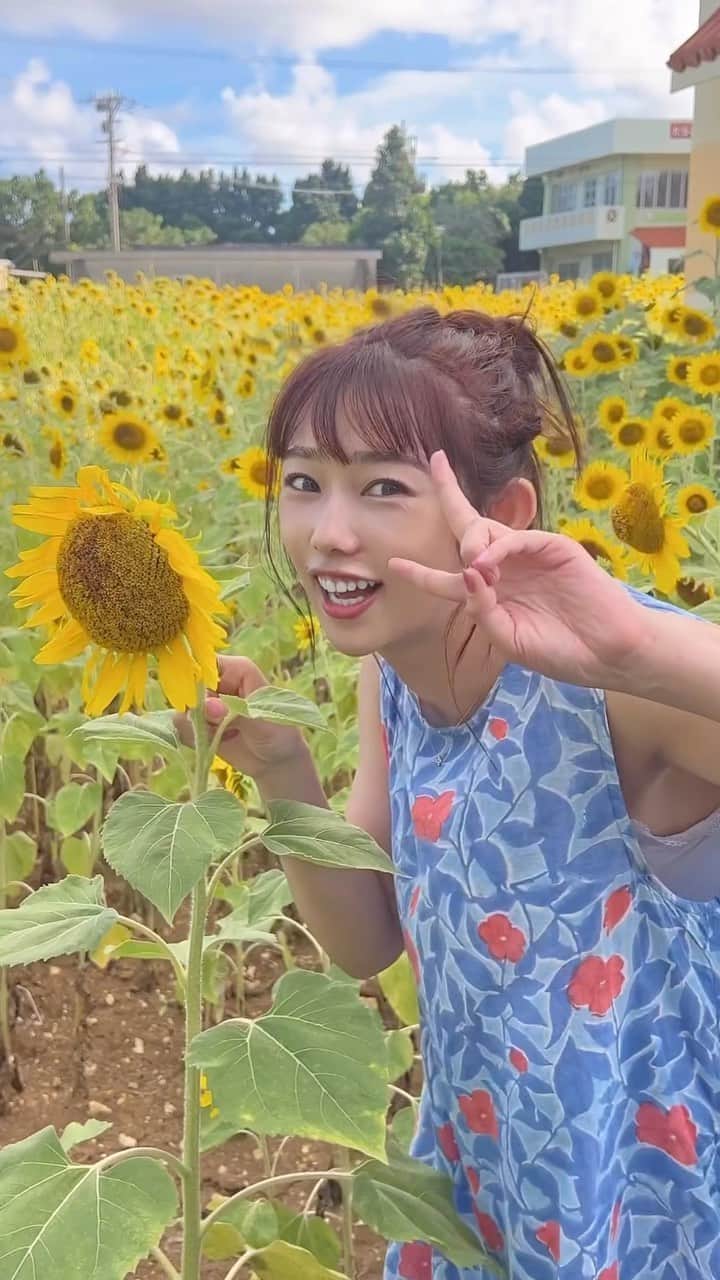 堀江聖夏のインスタグラム：「⌇‎多良間の向日葵畑で🌻♡ ⁡ ひまわりが1番好きなお花ですっ𓂃 𓈒❁⃘ ⁡ ________________________________ #宮古島 #多良間 #多良間島 #沖縄 #沖縄県 #japan」