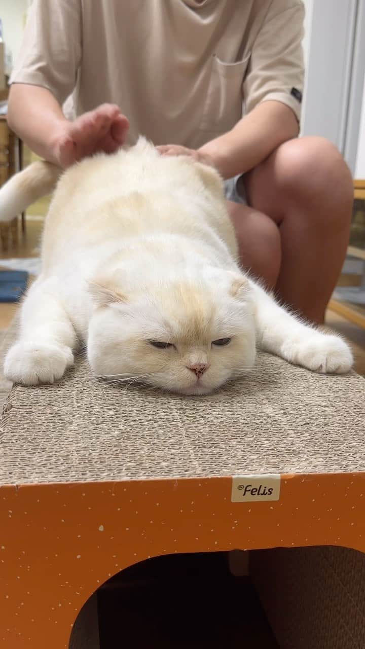 のインスタグラム：「기침소리 주의🗣️ 궁팡머신은 매일 열일합니다  #순무 #SoonMoo」