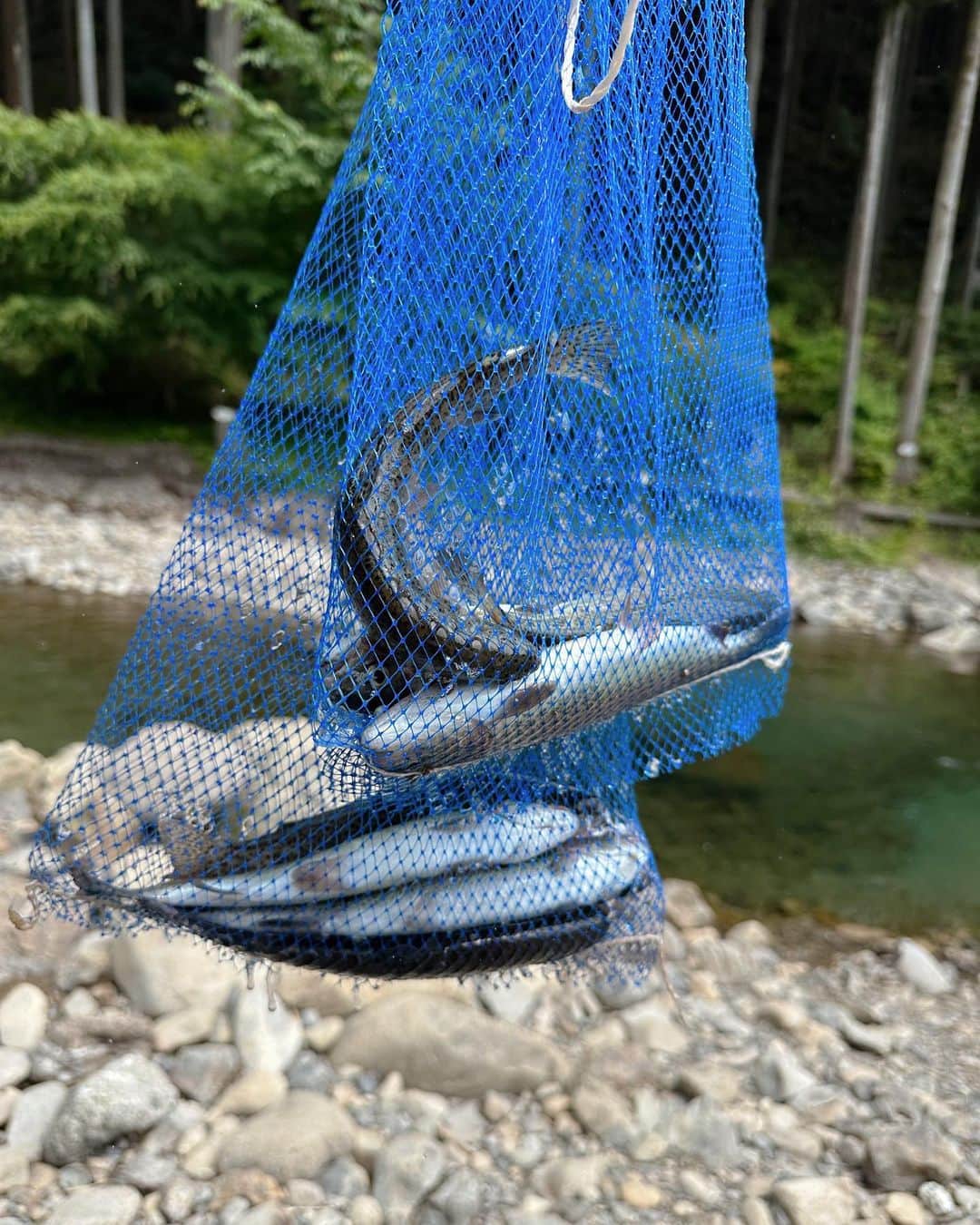 松川星さんのインスタグラム写真 - (松川星Instagram)「⁡ 初めての川釣り‪🏞 釣ったお魚食べたよ🎣」7月27日 20時06分 - akarin__rin