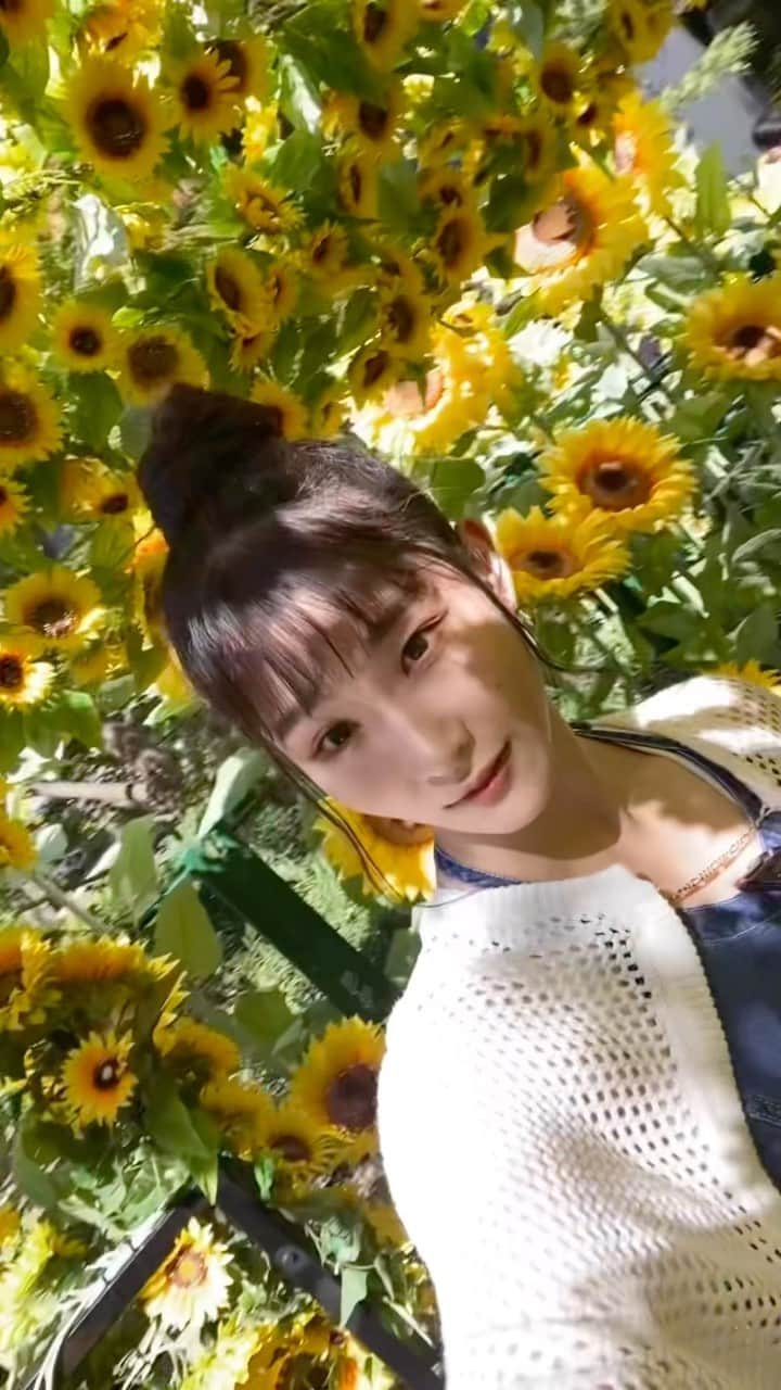 七瀬恋彩のインスタグラム：「大名古屋ビルヂング ひまわりスカイガーデン2023🌻 #大名古屋ビルヂング#ひまわり #cocoa #bgirlcocoa #bgirl #breakin #breakdance #dancer #bboying #hollowback #frezze #freezeoftheday #girlpower #powermove #powermoves #handstand #handstandpractice #acrobatic #streetdance #oldclothes #teddybear」