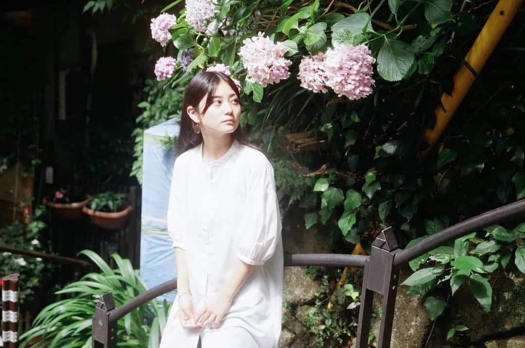 のインスタグラム：「film紫陽花  @kohta_pixx   #フィルム #film #紫陽花 #ポートレート」