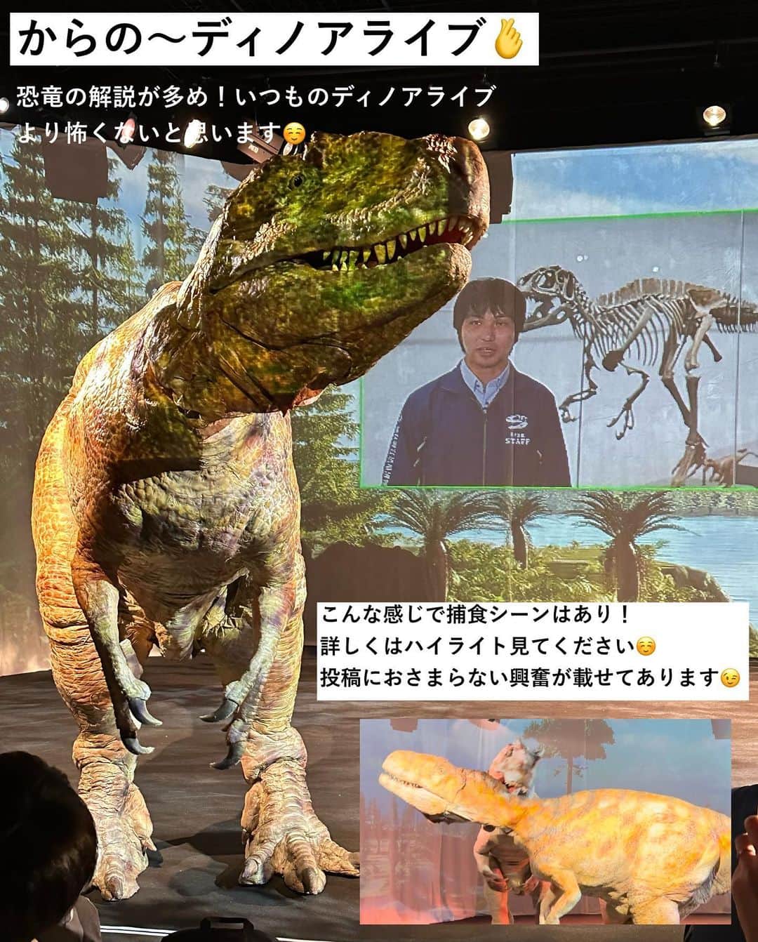 まるまるさんのインスタグラム写真 - (まるまるInstagram)「@pg_marumaru ←恐竜がだいすき👧🏻🩷🦕 ⁡ ⁡ 福井県立恐竜博物館に行ってきました〜 やっぱり福井はレベチでしたーーー🦖 骨格標本も44から50体へ！！！かっこいい、たまらん。。。 本館のティラノサウルスロボは、口が閉じるようになったらしいよ（まったく気付かなかった😂） 新館は、映像への力の入れ方が凄かったよー🥹✨ ⁡ とっっっても楽しかった博物館。 １０枚では到底魅力を伝えられないので、当日に垂れ流したストーリーズはハイライトに載せています！きっと福井へ行きたくなりますよ🧙‍♀️🪄︎︎✨ ⁡ ⁡ レストランでは、恐竜のスイーツ（なんかね、実験🧪的な感じで試験管のものを振り掛けるやつ）高いけどしっかり課金キメました😉ジュース🍹とオムライスも恐竜バージョンで美味しかった！！9時にいったら誰も居なかった。 ⁡ 新しく図書館やら写真スポットもあり。アニア好きはたまらんであろう会場もありました！ ⁡ ⁡ ディノアライブは、東京公演のものを3回見たけど、福井のはまた違った楽しさがありました！！！ 福井のディノアライブは、生体などについての解説が多かったです。娘もこちらのディノアライブは怖くなかったと👧🏻✨（東京公演のディノアライブは、本当の恐竜世界を見ている感覚になるので少し怖いシーン多かった🦖） ⁡ ⁡ 長文になりそうなので、このあたりにします✋ とりあえず、最高でした❤️‍🔥❤️‍🔥❤️‍🔥 ⁡ ⁡ ⁡ ーーーーーーーーーーーーーーーーーーーーー ⁡ 知育好きなママが、おうちで簡単に楽しめる知育遊びを紹介しています✨ 他の投稿も覗いてみてね👀💛💛 ⁡ ーーーーーーーーーーーーーーーーーーーー #恐竜 #恐竜グッズ #福井県立恐竜博物館 #恐竜好き」7月27日 20時41分 - pg_marumaru