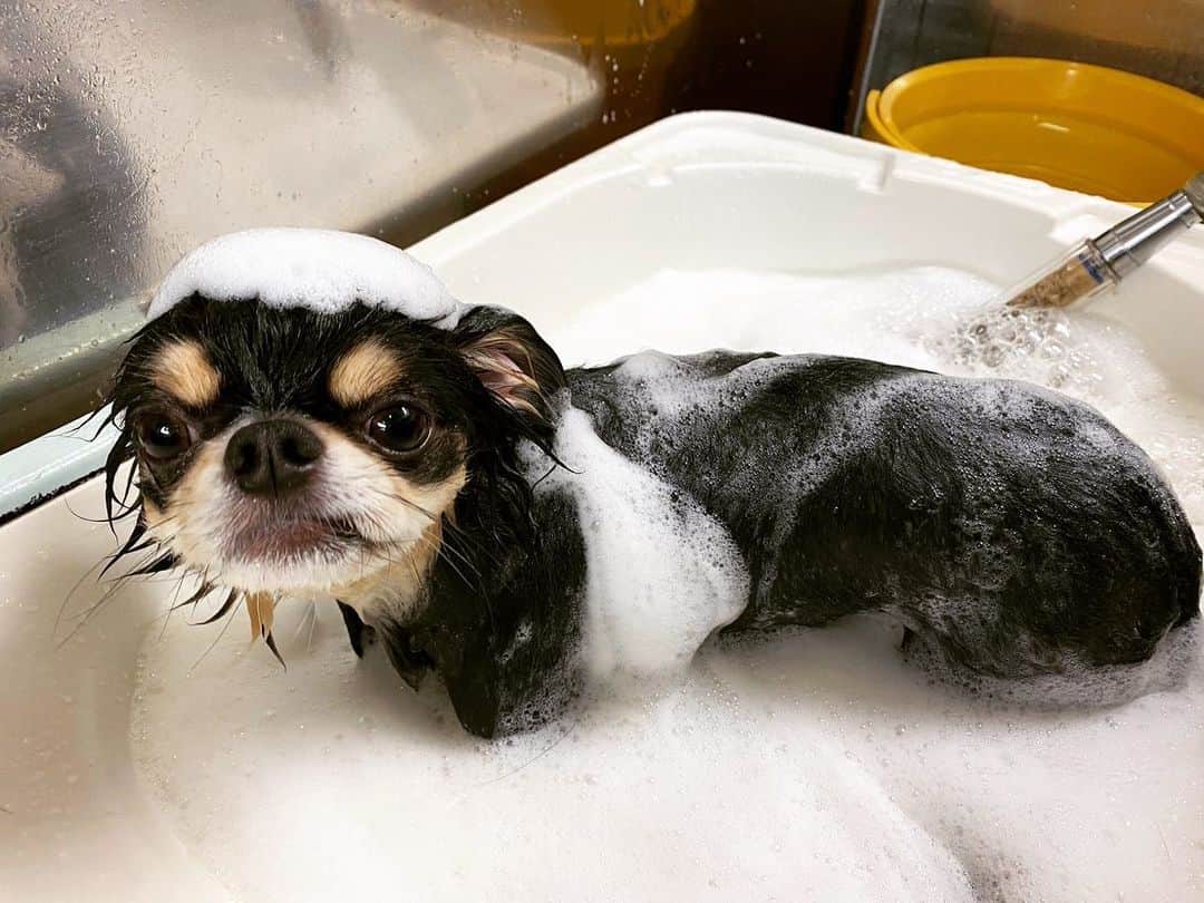BONGOのインスタグラム：「今日はエステday!!  サラサラになったよー🖤」