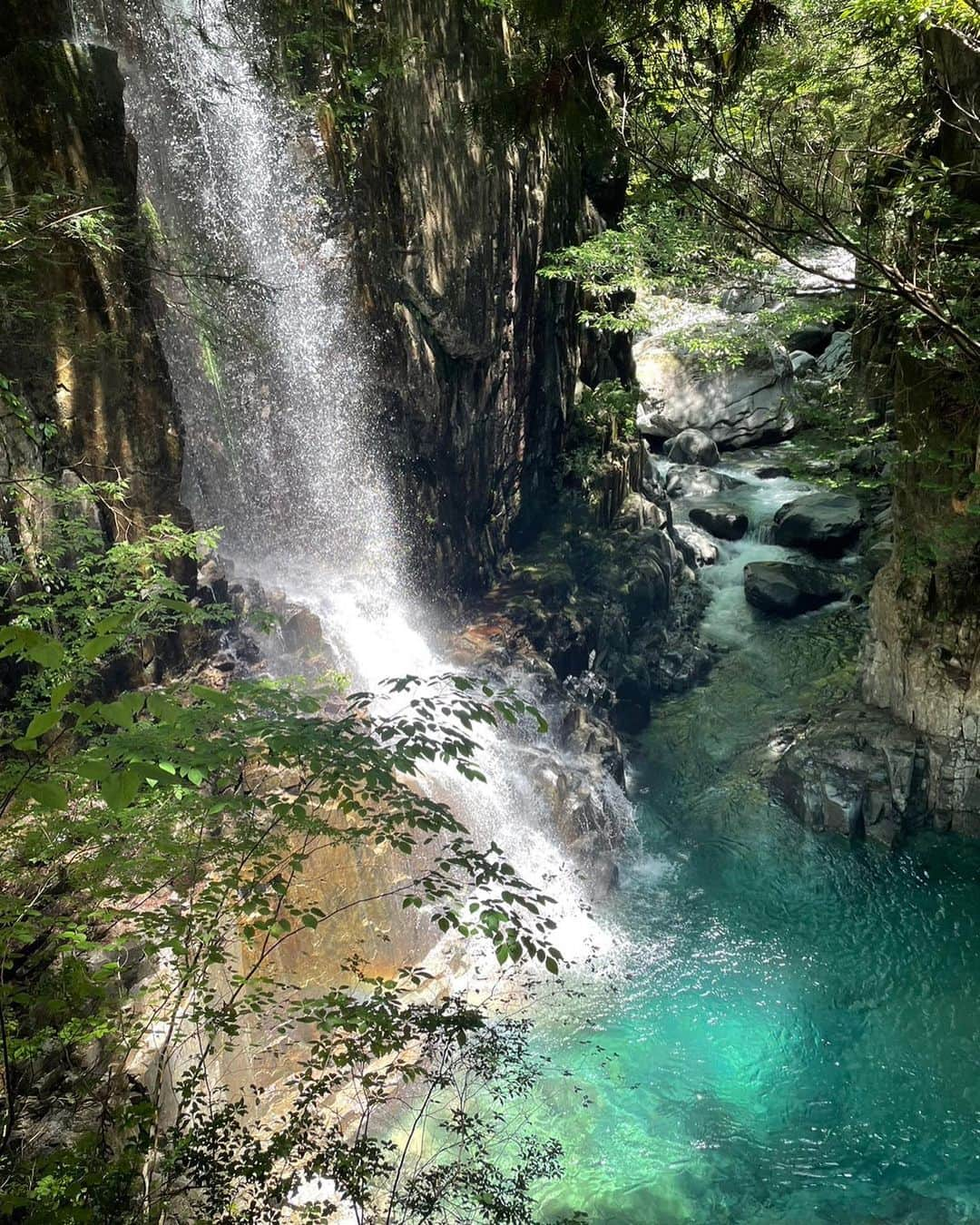 赤穂ひまわりさんのインスタグラム写真 - (赤穂ひまわりInstagram)「. . . 〜夏の思い出〜 珍しく、めちゃくちゃアクティブに動き回りました☀️ いろんなことできて最高に楽しい夏でした🌻  9枚目は、ずっといいないいな言ってくるからお土産にTシャツ買ってきてあげたら、めちゃくちゃ喜んですぐその場で着て満面の笑みの🌸  #滝#下呂温泉 #もののけ姫のヒロインはヤックル」7月27日 21時02分 - a.himawari88