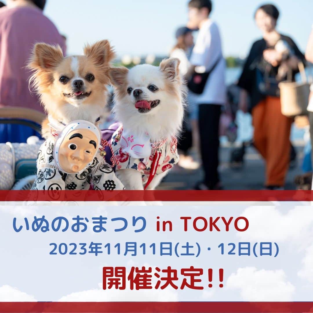 甲斐麻美さんのインスタグラム写真 - (甲斐麻美Instagram)「･ ＼11/11(土)・12(日)いぬのおまつり 　　 　　　　in TOKYO 開催決定／  今年の秋も  いぬのおまつりが開催決定！！  11/11、おいぬ日和の日に なんとTOKYO進出決定です！ TOKYOといっても都心ではなく、 東京郊外の穏やかな街でおまつり開催。  いぬと一緒に楽しみ、くつろぎ、語り合う。 ＼うちの子ともっと仲良く／ いぬとのお出掛けを楽しむ2日間になりそうです🐕🐾  場所や詳細、いぬと一緒に楽しめるイベントの数々！  発表が楽しみです🥰  そして、いぬのおまつりを盛り上げて下さる出店者さんの募集も近日開始予定です🐾  最新の情報は、いぬとわたしのInstagramとFacebookに掲載されますのでお見逃しなく🥳  また、11月に開催予定だった＠レイクタウンアウトレットでのいぬのおまつりは 会場の都合（工事）により中止となりました。 楽しみにしていて下さった皆さま、申し訳ございません。  晴れやかな秋空の下、 いぬとの休日を満喫できる空間になると思いますので ぜひご家族みなさんで遊びに来てくださいね🥰  ===================== 　　　いぬのおまつり =====================  ■日時：10月15日(日) 10:00～15:00 ※雨天延期：翌週日曜（10/22） 場所：sosopark @sosopark.jp 草加駅東口から徒歩３分 埼玉りそな銀行草加支店向かい ▶出店者さんの募集は締切っております  ■日時：11月11日(土)12日(日)  ※雨天中止 場所：東京 ▶出店者さんの募集は近日開始予定  いぬのおまつりスタッフ一同 皆さまにお会いできることを 今からとても楽しみにしております😊✨  #いぬのおまつり #いぬとわたし #犬イベント #わんこのためにできること #共に楽しむ #わんこがいる暮らし #いぬすきさんと繋がりたい🐶 #いぬバカ部 #いぬがすき #いぬがいないと生きていけません #いぬがいる幸せ」7月28日 8時00分 - inuto_watashi