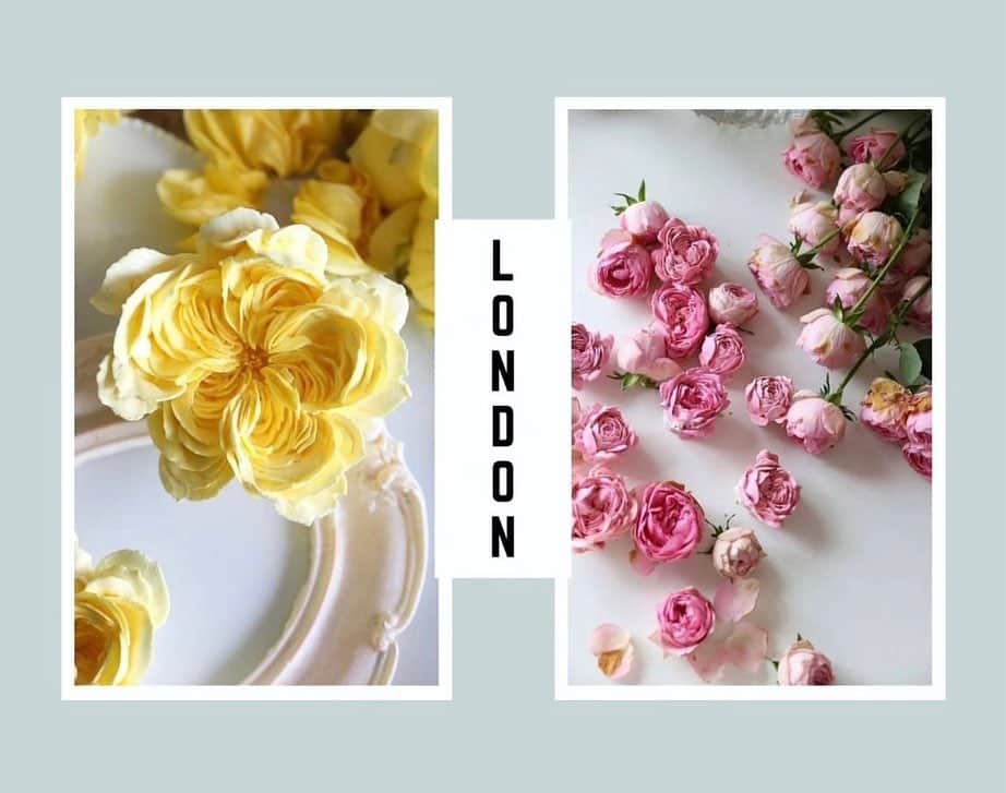 청담 수케이크 (atelier soo)のインスタグラム：「ㅡ 🤍🤍🤍🤍🤍 2023. November  Soocake Workshop in London 🇬🇧🇬🇧🇬🇧 For more information, please contact  @kesornkakery  📩  Thank you, as always. ☺️ ㅡ」