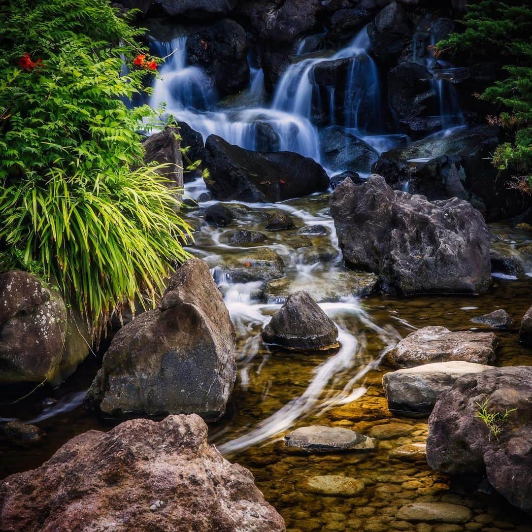 墨田区さんのインスタグラム写真 - (墨田区Instagram)「すみだのオアシス🏞️大横川親水公園🏞️💦  大横川親水公園で見られる、涼しげスポットをご紹介📸✨  滝から流れる水流が、まるで絹糸のようになめらかな一枚📷✨ 水しぶきが周りの空気を涼やかに潤します💧🍃  また、水の音は自然のハーモニーを奏で、夏の暑さを忘れさせてくれることでしょう👂🎶 滝の上には散策路があり、水が流れ落ちる様子を上から眺めることもできますよ👀  撮影者：＃すみだカメラ部１０選　@036pov   #墨田区＃すみだ＃sumida＃東京＃tokyo＃わたしのすみだ自慢＃これもすみだのシティプロモーション#墨田区 #大横川親水公園 #滝 #涼みスポット #夏の逃避先 #渓谷 #散策路 #自然 #水の音 #心地よさ」7月28日 7時00分 - sumida_official