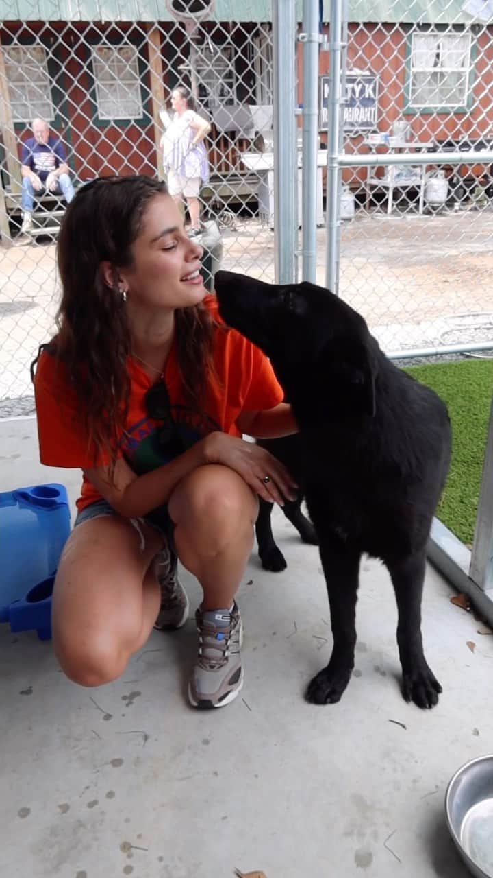 テイラー・ヒルのインスタグラム：「Since 2012 over 41,000 dogs have been rescued from unspeakable circumstances by @animalaidusa. Through monthly caravans from Georgia to New Jersey, Animal Aid USA volunteers give these dogs another chance at life. I had the absolute pleasure of volunteering with this incredible organization during July’s caravan, where 255 dogs were rescued. This experience deeply impacted me, and I’m looking forward to continuing to support their mission. If you are interested in donating or volunteering please visit animalaidusa.org 🐾✨」