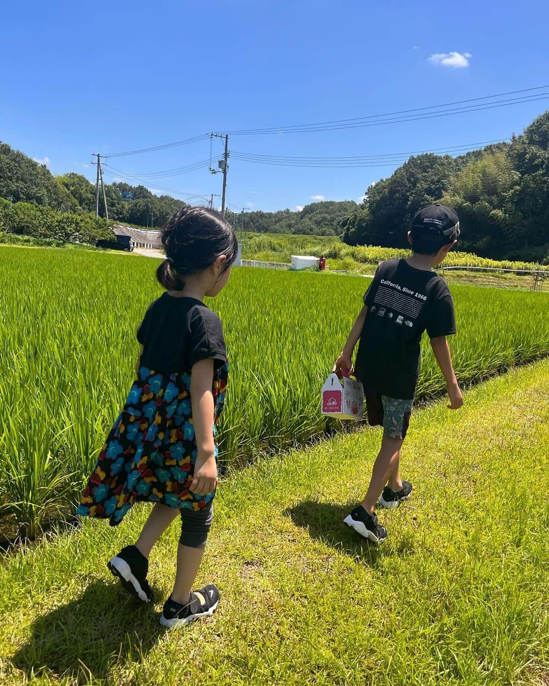 八木麻紗子さんのインスタグラム写真 - (八木麻紗子Instagram)「. 息子の小学校の夏休みスタート。 1人で飛行機に乗って 岡山の祖父母のところへ遊びに行く計画を立てていたら 4歳の妹が「いっしょにいく！」と言い出したので、 岡山から迎えにきてもらって兄妹の旅に変更✈️👋  2人ともいい子にしてるかな… 私がいなくても眠れるかな……という母の心配をよそに、 じいじばあばのサポートのもと 川遊びに虫取りにと全力で楽しんだようです！  私も帰りのお迎えついでに桃狩りを体験しました🍑✨  まだまだ続く夏休み。 心に残るような思い出を作ってほしいです。 もちろん宿題もちゃんと終わらせてねー！  #夏休み #岡山 #桃狩り #兄妹 #景色に癒された」7月27日 22時59分 - yagi_masako