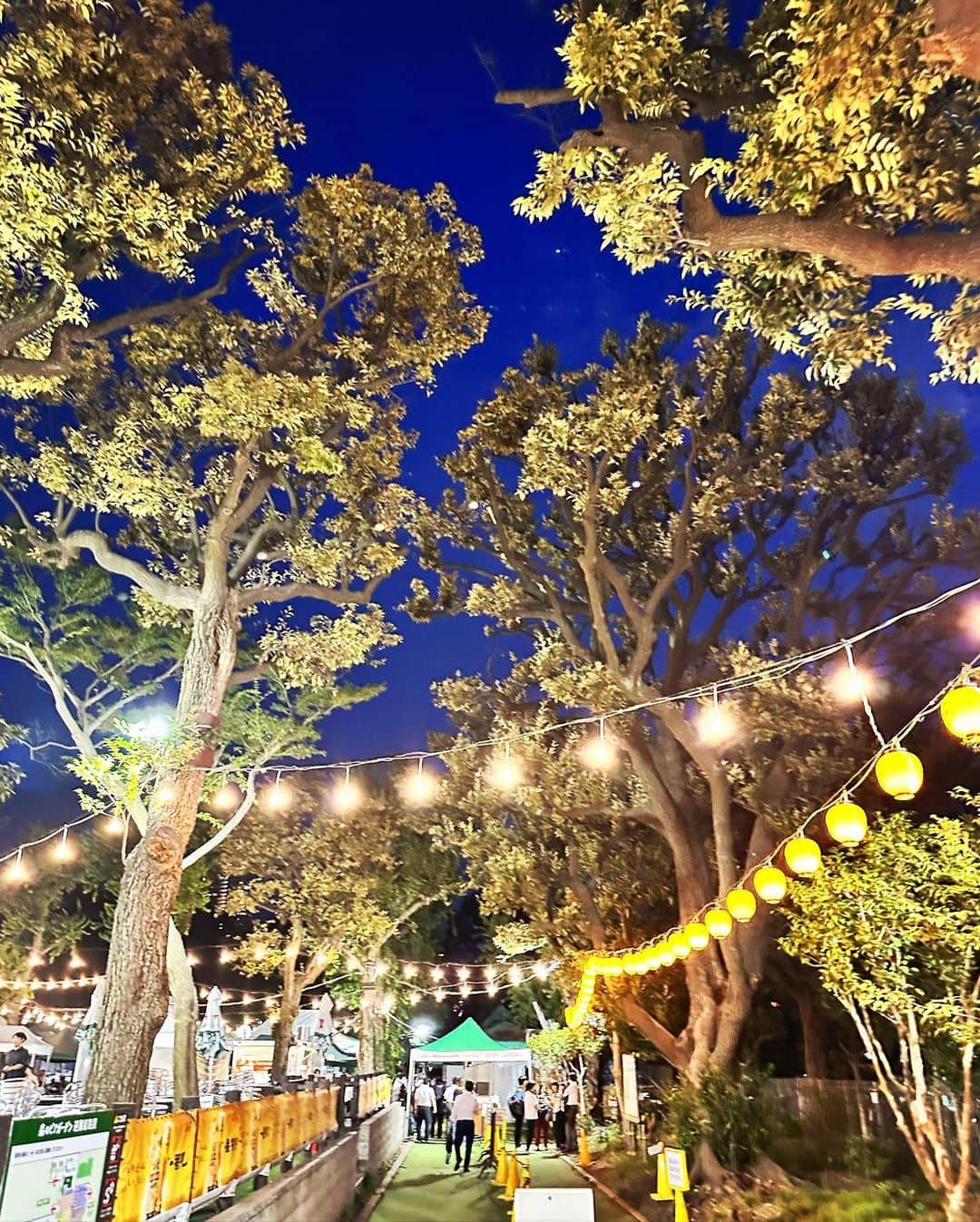 佐野恭平さんのインスタグラム写真 - (佐野恭平Instagram)「夏だ！BBQだ！ 森のビアガーデンはじめて行ったけど賑やかでした✨  慎也君の誕生日祝いと冬和君の快気祝いと悠杏君の送別会を兼ねて！  夏の夜ってだけで楽しいね！ 最後にみんなで集合写真撮ってほしくて、お兄さんにお願いしたらめちゃくちゃトイレと虫除けスプレーに挟まれて撮られたからオブジェクト除去しました。  #夏 #BBQ #森のビアガーデン #森ビア」7月27日 23時09分 - kyoheisano