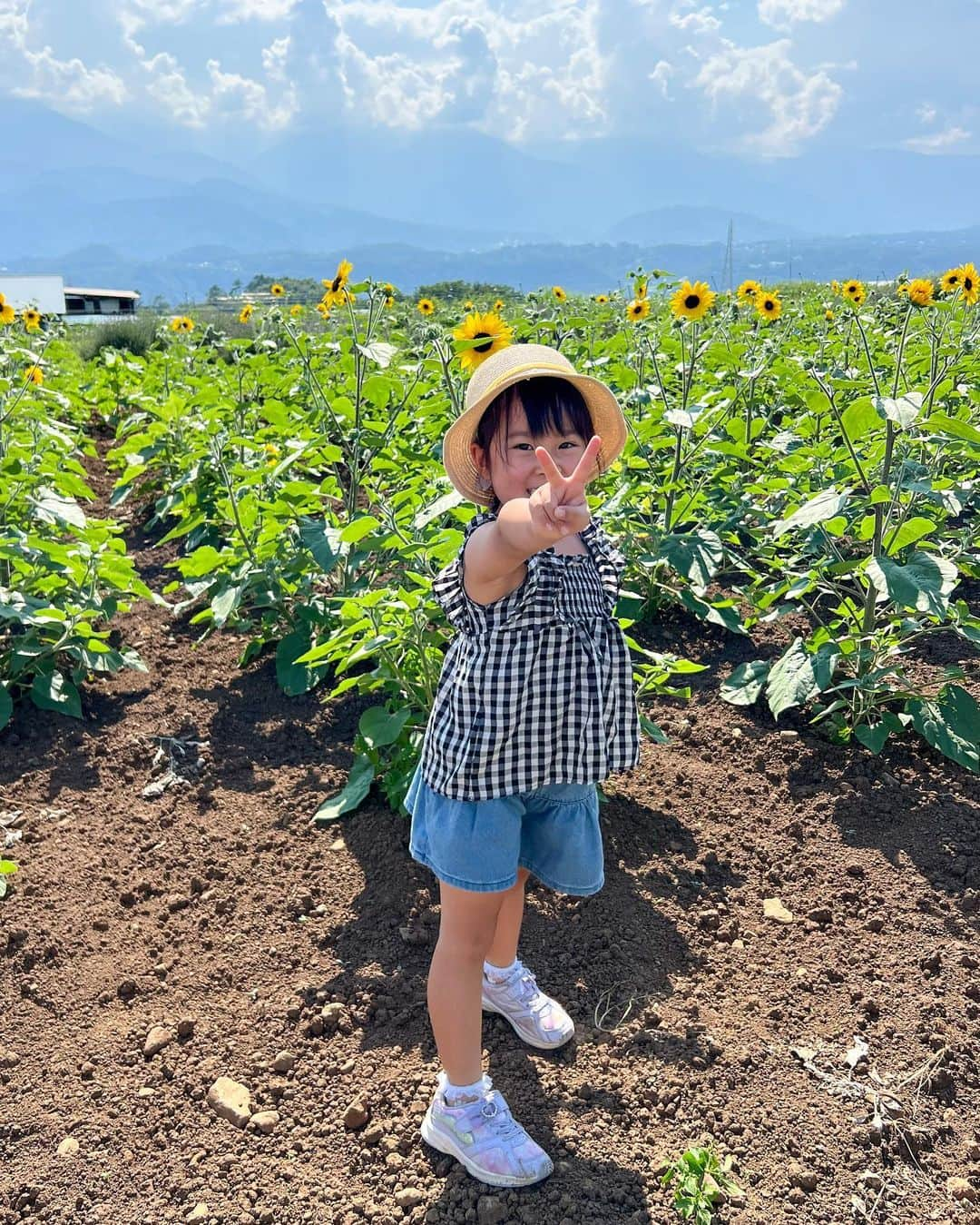 泉マリコさんのインスタグラム写真 - (泉マリコInstagram)「夏といえばひまわり🌻ということで今年も行ってきました！ #北杜市明野サンフラワーフェス 🌻  今年は4年ぶりの本格開催で、出店も出ていて嬉しい‼️ サンフェス開始直後に行きましたが、元気いっぱいなハイブリッドサンフラワーとサンフィニティのお顔をたくさん見ることができました👏 . 背の高〜いひまわりが空に向かって伸びていて、次女もピンっと伸びていました🌻⬆️ 赤ちゃん顔だけど、実はかなり大きいです👶そして最近は毎日長靴を履いている🤷‍♀️ 娘達にはこのひまわりのように真っ直ぐ元気に育ってほしい🥹もう反抗期を想像して切なくなっている母です💭 . 天気がとても良い日で、長女も次女も元気いっぱい☀️2人で畑に向かって「ヤッホー」とずっと言っていました🤣 . サンフラワーフェスは8/21(日)まで開催されるようです😍 @h.sunfes で開花状況をチェック出来ますよ✨来週末あたりが見ごろなのかな⁇でも早めのほうが空いてそう🚗 . . #ほくとサンフェス #サンフェス #明野ひまわり畑 #ひまわり #ひまわり畑 #サンフラワー #山梨観光 #北杜市観光 #ほくとサンフェスフォトコン2023 #北杜市」7月27日 23時42分 - mariko_i0902