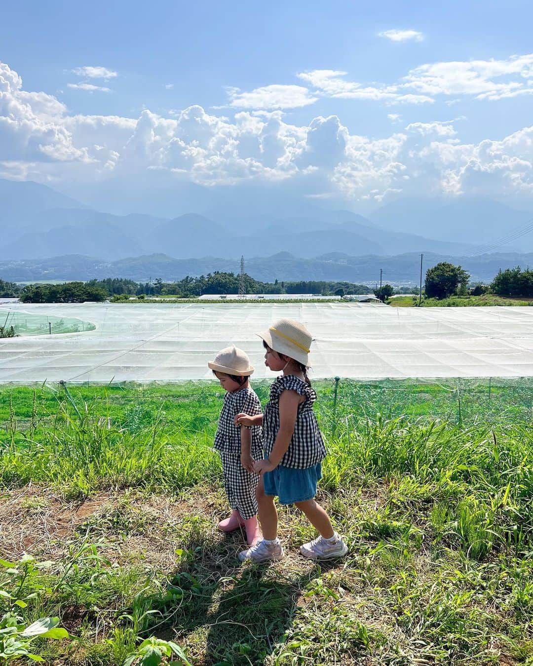 泉マリコさんのインスタグラム写真 - (泉マリコInstagram)「夏といえばひまわり🌻ということで今年も行ってきました！ #北杜市明野サンフラワーフェス 🌻  今年は4年ぶりの本格開催で、出店も出ていて嬉しい‼️ サンフェス開始直後に行きましたが、元気いっぱいなハイブリッドサンフラワーとサンフィニティのお顔をたくさん見ることができました👏 . 背の高〜いひまわりが空に向かって伸びていて、次女もピンっと伸びていました🌻⬆️ 赤ちゃん顔だけど、実はかなり大きいです👶そして最近は毎日長靴を履いている🤷‍♀️ 娘達にはこのひまわりのように真っ直ぐ元気に育ってほしい🥹もう反抗期を想像して切なくなっている母です💭 . 天気がとても良い日で、長女も次女も元気いっぱい☀️2人で畑に向かって「ヤッホー」とずっと言っていました🤣 . サンフラワーフェスは8/21(日)まで開催されるようです😍 @h.sunfes で開花状況をチェック出来ますよ✨来週末あたりが見ごろなのかな⁇でも早めのほうが空いてそう🚗 . . #ほくとサンフェス #サンフェス #明野ひまわり畑 #ひまわり #ひまわり畑 #サンフラワー #山梨観光 #北杜市観光 #ほくとサンフェスフォトコン2023 #北杜市」7月27日 23時42分 - mariko_i0902