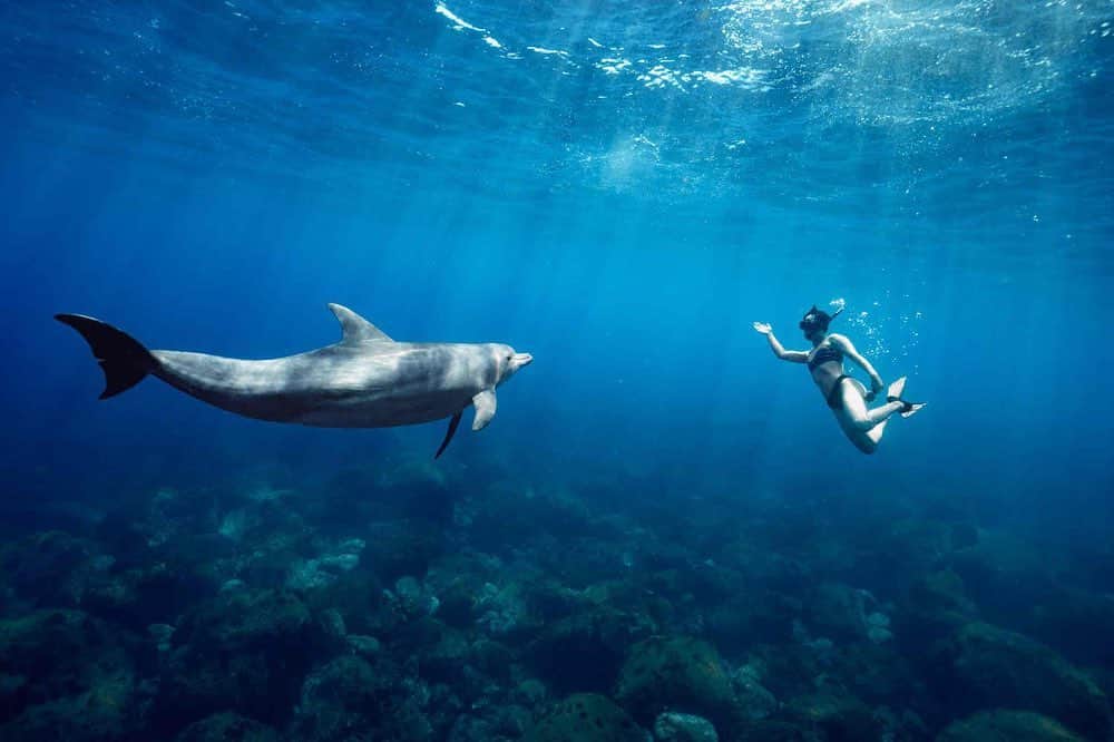 藤巻紗月のインスタグラム：「イルカのヤンチャさに体力全部持っていかれた🐬 イルカ好きな方、利島へぜひ。 #利島#ドルフィンスイム #dolphinswimming  #dolphins」