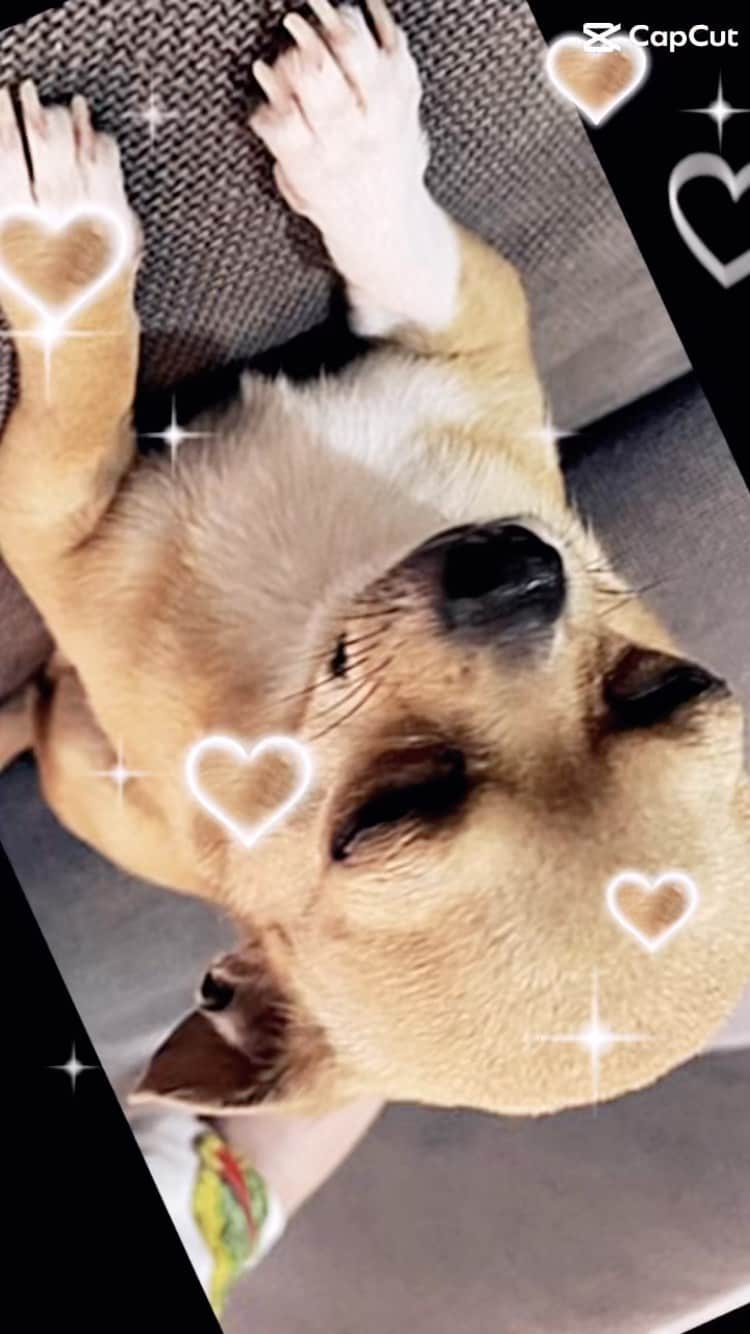 くーちゃんのインスタグラム