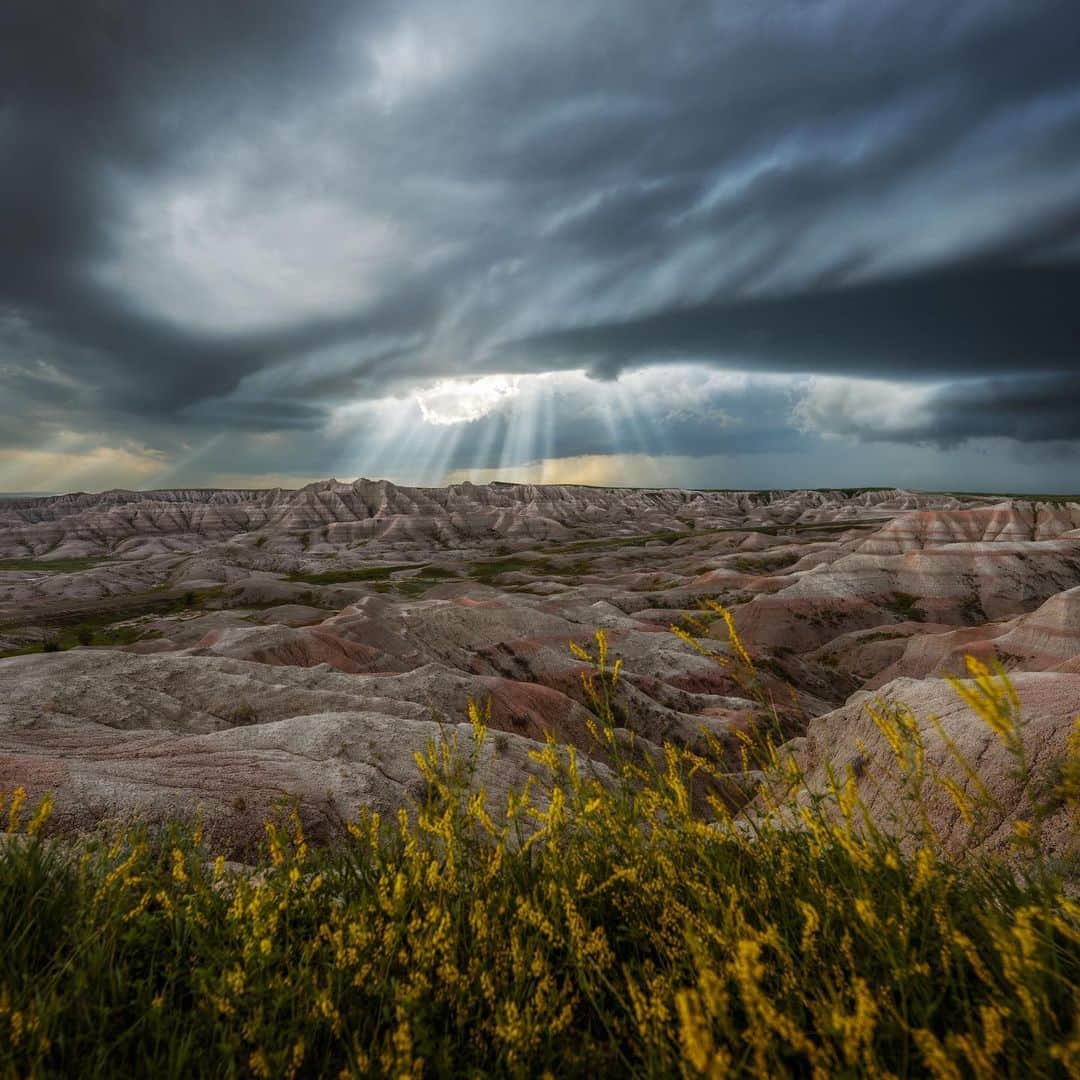 NikonUSAさんのインスタグラム写真 - (NikonUSAInstagram)「We’re continuing to feature creators across the country in our #NikonCreators Road Trip! While based in Colorado, @ForestBarkdollWeil’s passion for the natural world has led him into desolate badlands, remote mountain passes, sinewy canyons, and lush forests across the country with the mirrorless Nikon Z 8 and Z 9 in hand. From Forest: “I’m an avid adventurer and typically can be found summiting high peaks, capturing the night sky, and even chasing storms and auroras, – all with the goal of sharing nature’s beauty and wonder with the world.”  Help us celebrate Colorado creators by showing off your photos & videos with #NikonCreators!  #NikonZ9 #NIKKORZ #Colorado #FineArt #NaturePhotography #Auroras #StormChaser #Roadtrip」7月28日 1時41分 - nikonusa