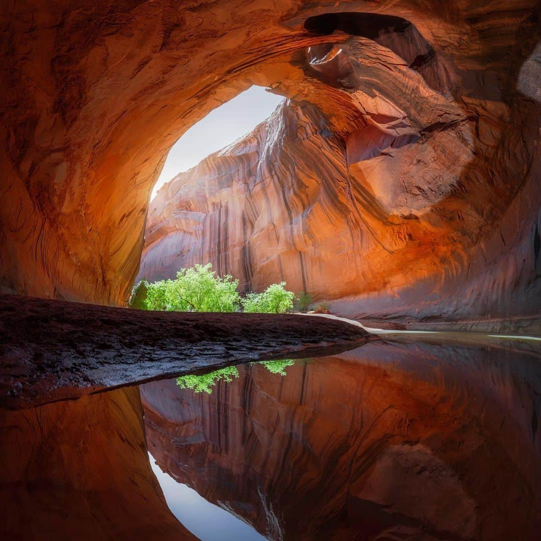 NikonUSAさんのインスタグラム写真 - (NikonUSAInstagram)「We’re continuing to feature creators across the country in our #NikonCreators Road Trip! While based in Colorado, @ForestBarkdollWeil’s passion for the natural world has led him into desolate badlands, remote mountain passes, sinewy canyons, and lush forests across the country with the mirrorless Nikon Z 8 and Z 9 in hand. From Forest: “I’m an avid adventurer and typically can be found summiting high peaks, capturing the night sky, and even chasing storms and auroras, – all with the goal of sharing nature’s beauty and wonder with the world.”  Help us celebrate Colorado creators by showing off your photos & videos with #NikonCreators!  #NikonZ9 #NIKKORZ #Colorado #FineArt #NaturePhotography #Auroras #StormChaser #Roadtrip」7月28日 1時41分 - nikonusa