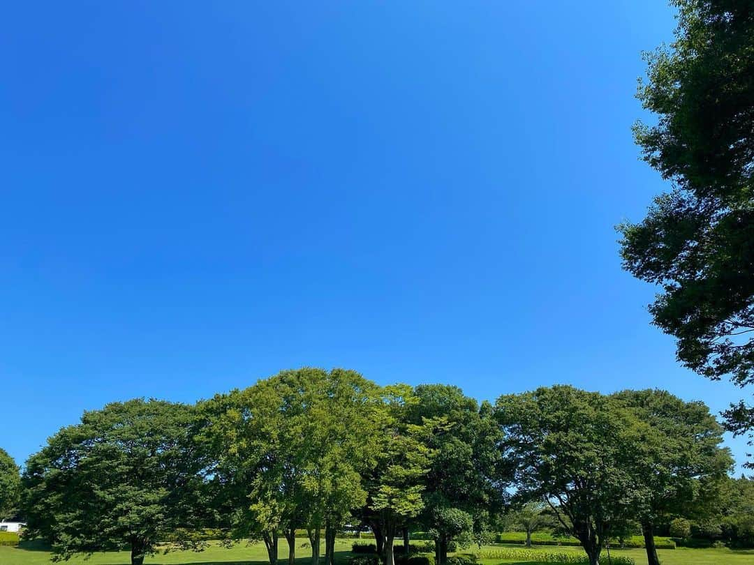 岡崎体育のインスタグラム：「夏始まります。」