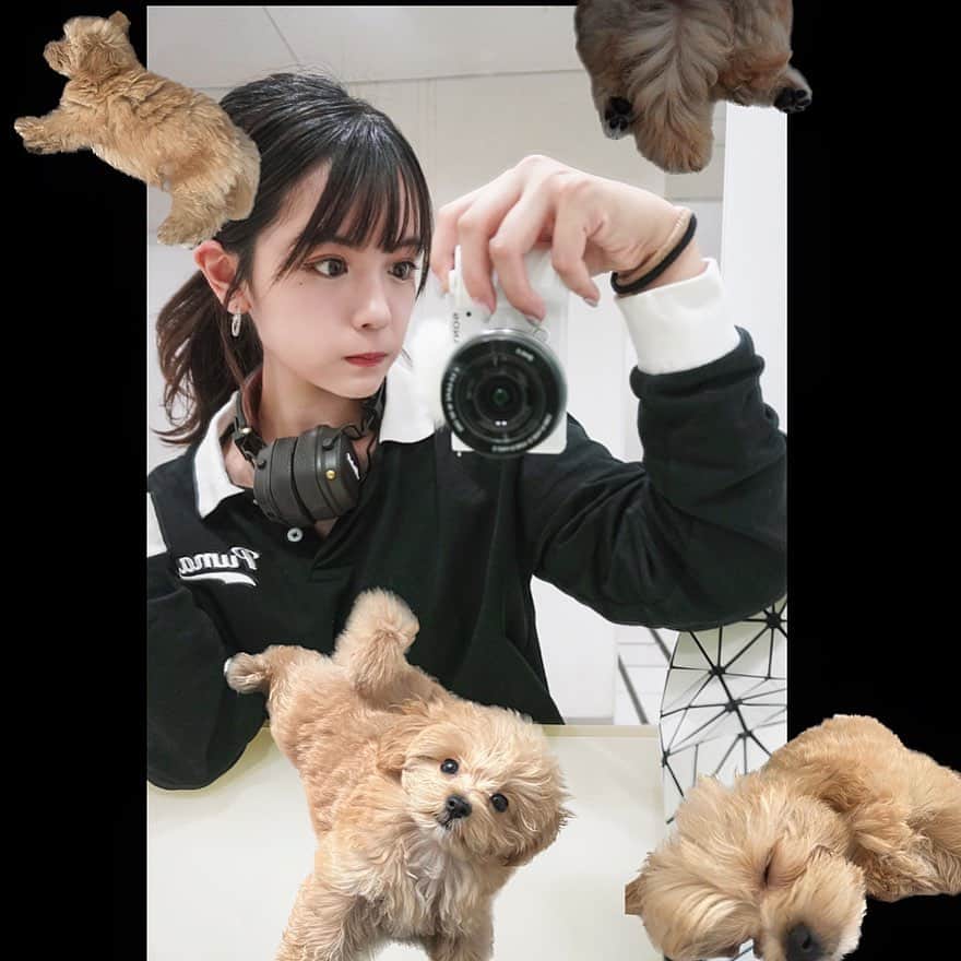 村山優香のインスタグラム：「愛溢れすぎ？  #マルプー  #puma  #marshallheadphones」