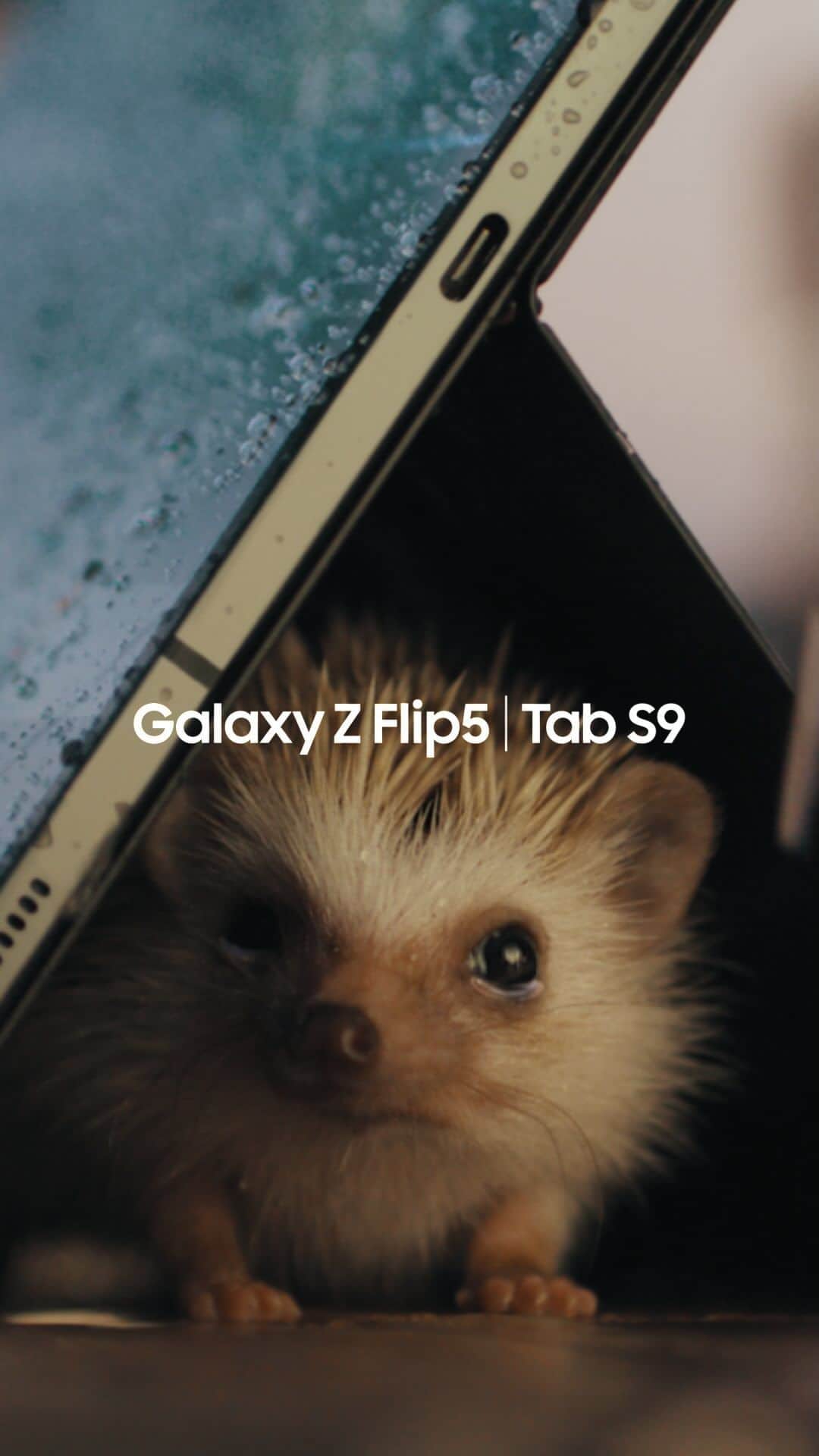 Galaxy Mobile Japanのインスタグラム