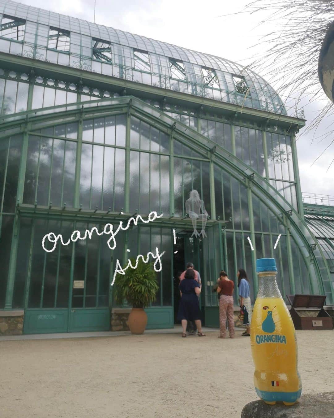 Orangina オランジーナ公式のインスタグラム：「Bonjour🇫🇷  パリの中心地から少し離れた マイナスイオンで癒される都会のオアシスをご紹介👍  パリ16区ブーローニュの森の一画にある Jardin des Serres d’Auteuil （ジャルダン デ セール ドートゥイユ） オートゥイユ温室庭園です🌳  歴史は長く、1761年、ルイ15世の時代に 植物園として使用されたのが始まりだそう🥸  その後、19世紀の終わりに5つの温室と庭園が整備されます。 青緑色の鉄骨のフレームとガラス張りの美しい温室では 多肉植物や世界の珍しい植物のコレクションがあり🪴 年間を通して、5,000品種以上の植物を鑑賞できます👀  様々なテーマで庭園が演出されていて 池に鯉が泳いでいる 日本のエッセンスを取り入れた庭園もありました🇯🇵  室外のお庭では パリジャンたちが、ベンチで寛いで のんびりとした時間を過ごしています😊  #orangina #oranginaairy #france #soda #オランジーナ #フランス生まれ #炭酸飲料 #フランス #オレンジ #休憩 #withオランジーナ #パリ #jardin #jardindesserresdauteuil #serres #温室 #庭園 #多肉植物 #植物 #パリジャン」