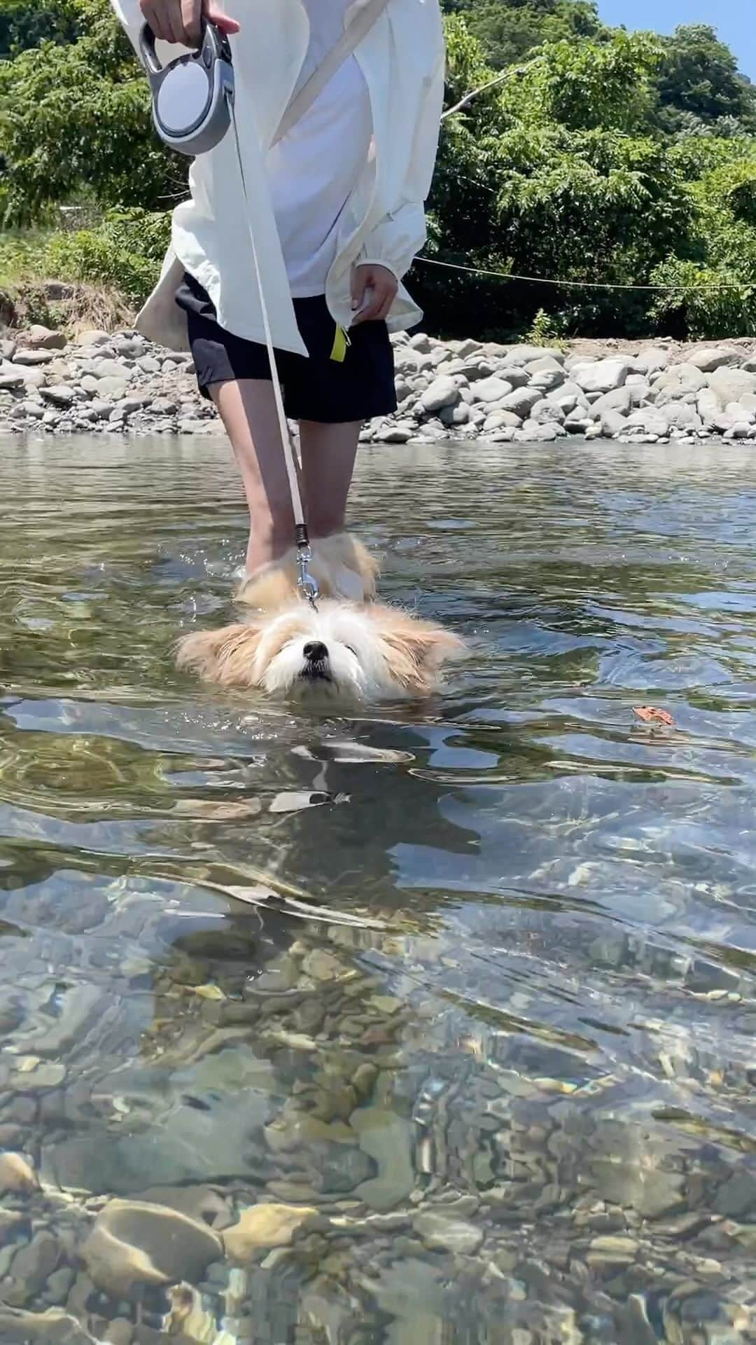 大河内奈々子のインスタグラム