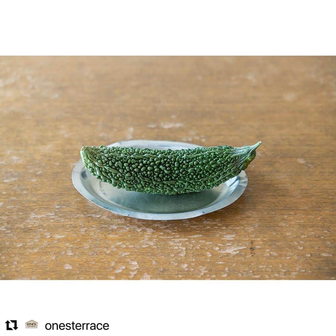 夏井景子さんのインスタグラム写真 - (夏井景子Instagram)「【レシピ連載のお知らせ】  おはようございます。 毎日暑いですがみなさんお元気ですか？  この度　@onesterrace さんでのレシピの連載が始まりました。2ヶ月に1度季節のお野菜を使ったレシピを紹介していきます。 今月は写真のようにゴーヤです。ゴーヤの梅あえとゴーヤごはんの2品を紹介しています🥒 火も使わない簡単なレシピだけれど食べたら元気がでるような副菜とごはんです。ぜひご覧ください☺️ プロフィールのハイライトから記事にとべます〜！  #Repost @onesterrace with @use.repost ・・・ 料理研究家の夏井景子さん @natsuikeiko の連載企画がスタート！ 旬の食材を手軽においしく味わうレシピをご紹介。今月は #ゴーヤ です。週末にぜひ試してみてください♪  詳しくはプロフィールのリンクより、公式WEBサイトをご覧ください。 @onesterrace  #旬 #ゴーヤ― #夏野菜 #夏野菜レシピ #家庭料理 #おうちごはん #おうちご飯 #レシピ #簡単レシピ #家庭料理部 #夏ごはん #夏レシピ #ごはんの時間 #ぱぱっとごはん #ごはんづくり #夏 #ギフト #雑貨 #onesterrace #ワンズテラス」7月28日 10時02分 - natsuikeiko