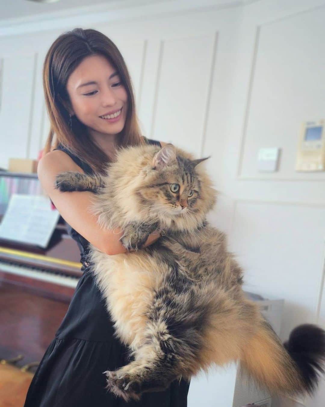 SAYUKIさんのインスタグラム写真 - (SAYUKIInstagram)「猫愛🐈❤️ ぱんちゃんち　@kaopang_nota  で☺️  子供の時猫を飼っていたので今でも猫に触れたーいと時折り思います💕 でもこの子大き過ぎて上手く抱っこ出来ないw  #猫　#cat」7月28日 10時26分 - sayukisvoice
