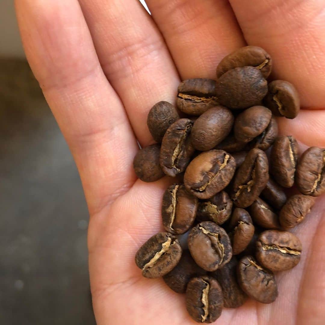 ABOUT LIFE COFFEE BREWERSさんのインスタグラム写真 - (ABOUT LIFE COFFEE BREWERSInstagram)「【ABOUT LIFE COFFEE BREWERS 道玄坂】 Our new coffee Bolivia Finca Senda Salvaje Double Washed roasted by @akitocoffee !!!🇧🇴✨  This Bolivia variety is red catuai.👌 Roaster flavor comments are apple, apricot, lemon, cacao.🍎🍋🍫 Taste like juicy and sweet.  山梨 @akitocoffee から新しいボリビアが届きました！🇧🇴 あまり聞くことが少ないかもしれませんが、最近の中南米の中では注目されている生産国のひとつです。 ボリビア フィンカ センダ サルヴァへ ダブルウォッシュトは、品種がレッドカトゥアイ。豆は少し大きく縦長の形をしています。 完熟したりんごや、ほんのりとレモンのようなフレーバーと豊かな甘さからカカオのニュアンスも感じられます。 酸味が苦手な方にもおすすめできるバランスの良いコーヒーです。この時期には水出しコーヒーにもぴったり。👌 お試し下さいー！  🚴dogenzaka shop 9:00-18:00(weekday) 11:00-18:00(weekend and Holiday) 🌿shibuya 1chome shop 8:00-18:00  #aboutlifecoffeebrewers #aboutlifecoffeerewersshibuya #aboutlifecoffee #onibuscoffee #onibuscoffeenakameguro #onibuscoffeejiyugaoka #onibuscoffeenasu #akitocoffee  #stylecoffee #warmthcoffee #aomacoffee #specialtycoffee #tokyocoffee #tokyocafe #shibuya #tokyo」7月28日 10時35分 - aboutlifecoffeebrewers