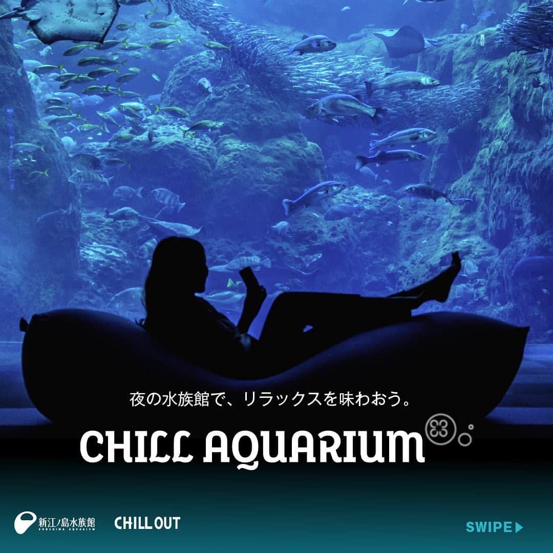 CHILL OUTのインスタグラム：「夜の水族館で、くつろぎチルする？  ＼CHILL OUT ✕ 新江ノ島水族館 コラボ企画🐠／ 閉館後の水の世界で、癒やしのチル体験。 CHILL OUTと新江ノ島水族館が癒やしの水族館をプロデュースした、10日間限定の【 CHILL AQUARIUM 】を開催👍  声優・内田真礼さん(@uchidamaayataso )のスペシャル音声ガイドやコラボメニュー、イベントだけの照明や音楽の演出など、五感でリラックスを味わえるコンテンツをご用意！  ■期間：7/29(土)〜8/8(火) ( 8/3(木)を除く ) ■会場：新江ノ島水族館 ※18歳以上 各日 250名 , チケット事前予約制 📲 特設サイトからチケット購入などの詳細をチェック！  普段は入れない夜の水族館で、日々の忙しさを忘れてゆったりと過ごすひとときを体験してみて。  #CHILLOUT #チルアウト #リラックスを味わおう」