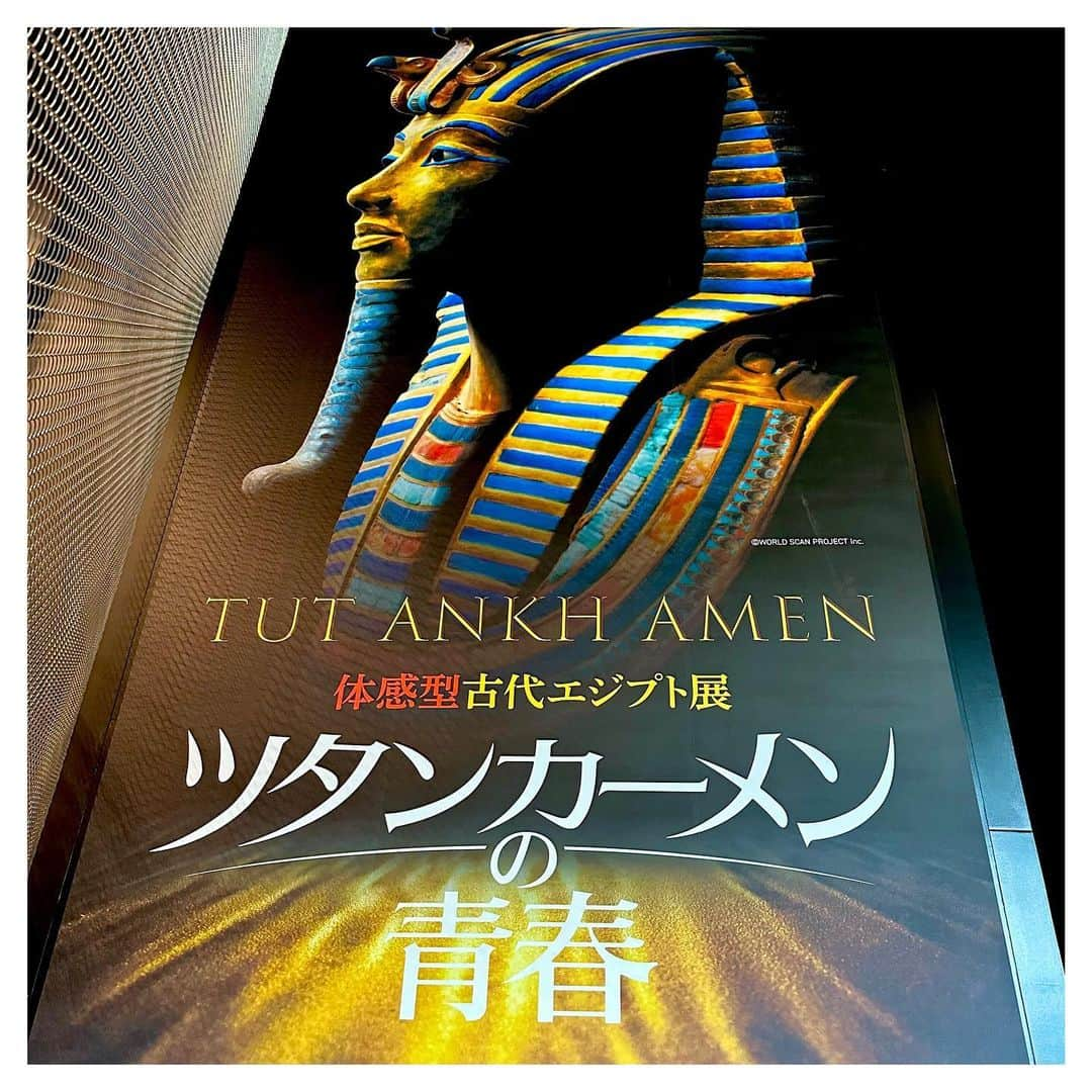 富田麻帆のインスタグラム：「体験型古代エジプト展 #ツタンカーメンの青春   行ってきました！！！  数年前に国立科学博物館で開催していた「大英博物館ミイラ展　古代エジプト６つの物語」をみてから、エジプト展と聞くとついつい行きたくなる。  今回の展示は体験型ということで間近で色々と見れます！ ※展示物は超複製品(スーパーレプリカ)です。  詳しくは https://kadcul.com/event/124  #女子1人旅  #ちょっぴり遠出 #エジプト展 #ツタンカーメン」