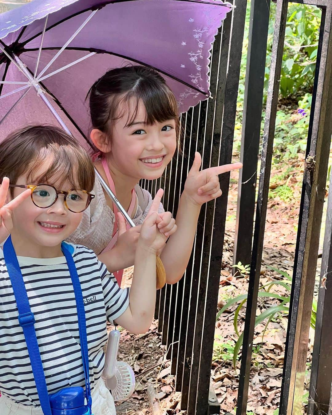 アレン明亜莉クレアのインスタグラム：「☀️  代々木公園で発見🌻 セミがあちらこちらにいる🤣👍🏻 メアリー大興奮🤣  最近ゲームが欲しいみたい！ わたしが使っていたNintendoDSをとりあえずあげました🤣 どうぶつの森しかないのですが、 はまったようです🌻🌻🌻  いろんな魚や虫が出てくるので、楽しいみたい！  #セミ #暑い #8歳 #アレン明亜莉クレア  #子役 #虫が好き」