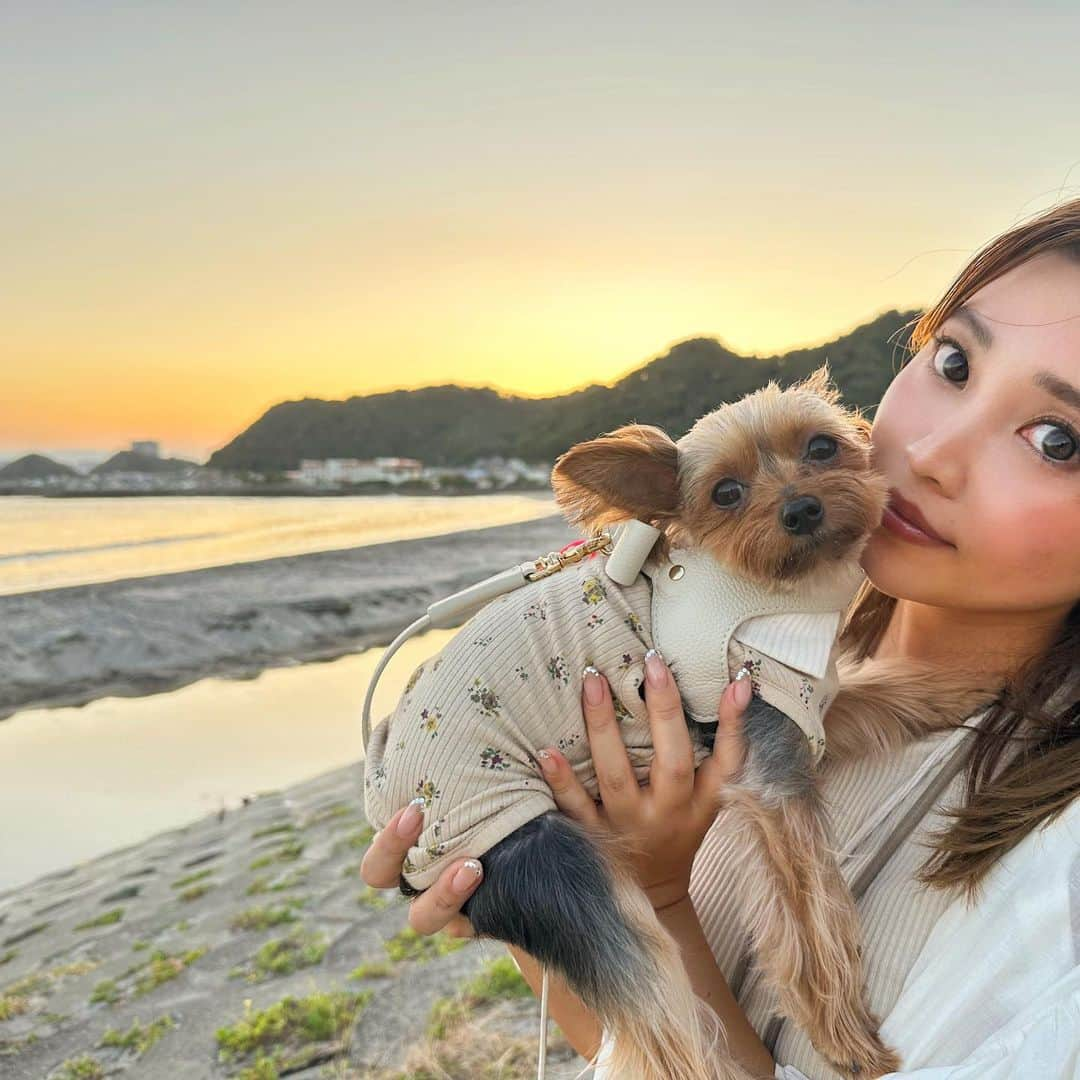 池田沙代さんのインスタグラム写真 - (池田沙代Instagram)「☀️🐶  今年はぴのさんと夏っぽいこと 沢山できてる気がする🤍  #夏の思い出」7月28日 14時00分 - sayopi