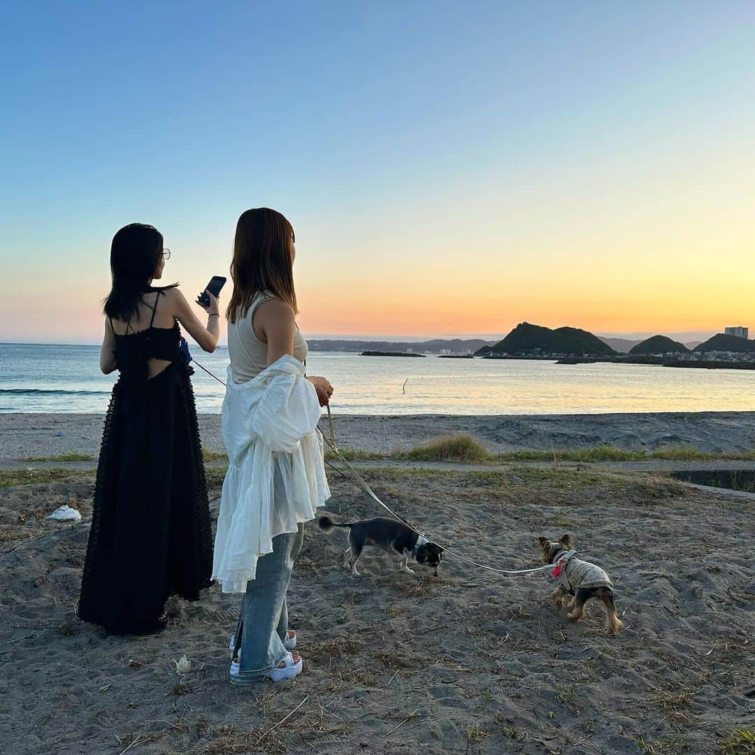 池田沙代さんのインスタグラム写真 - (池田沙代Instagram)「☀️🐶  今年はぴのさんと夏っぽいこと 沢山できてる気がする🤍  #夏の思い出」7月28日 14時00分 - sayopi