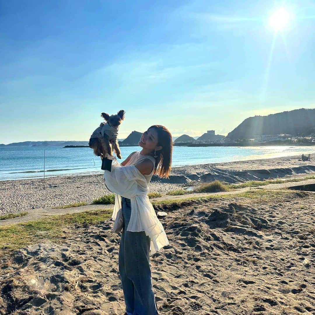 池田沙代のインスタグラム：「☀️🐶  今年はぴのさんと夏っぽいこと 沢山できてる気がする🤍  #夏の思い出」