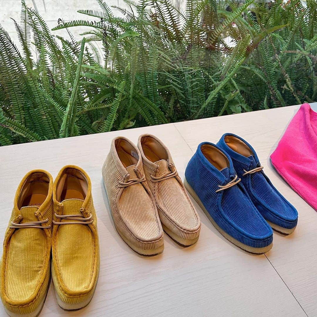のインスタグラム：「＜Clarks Originals＞ × ＜MAYDE WORLDWIDE＞ WALABEE BOOT for men&women ¥34,100  #H_beautyandyouth #エイチビューティアンドユース @h_beautyandyouth  #BEAUTYANDYOUTH #ビューティアンドユース #Unitedarrows #ユナイテッドアローズ #clarks #clarksoriginals #maydeworldwide」