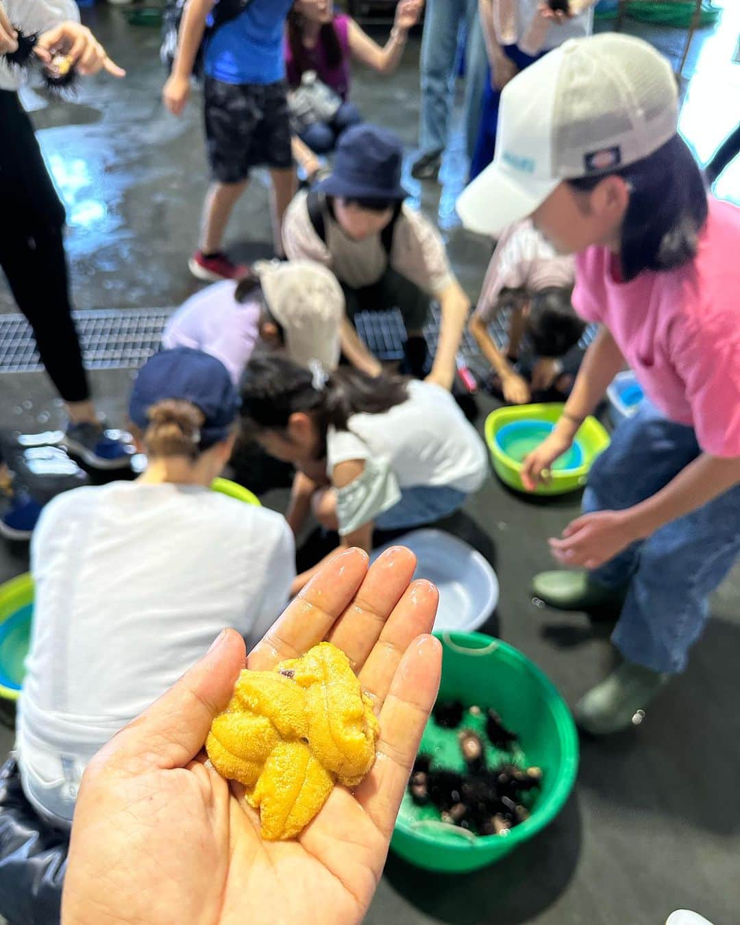 須藤元気さんのインスタグラム写真 - (須藤元気Instagram)「釜石市の尾崎白浜漁港に視察に来ました。まずは子供たちのエゾムラサキウニ剥き体験をサポート。今までウニを食べれなかった子がトライしてみたら「美味しい！」の一言が出て盛り上がりました。ウニは物によって味が全然違いますからね。むっちゃ美味い。 #岩手県 #釜石市」7月28日 15時12分 - sudogenki
