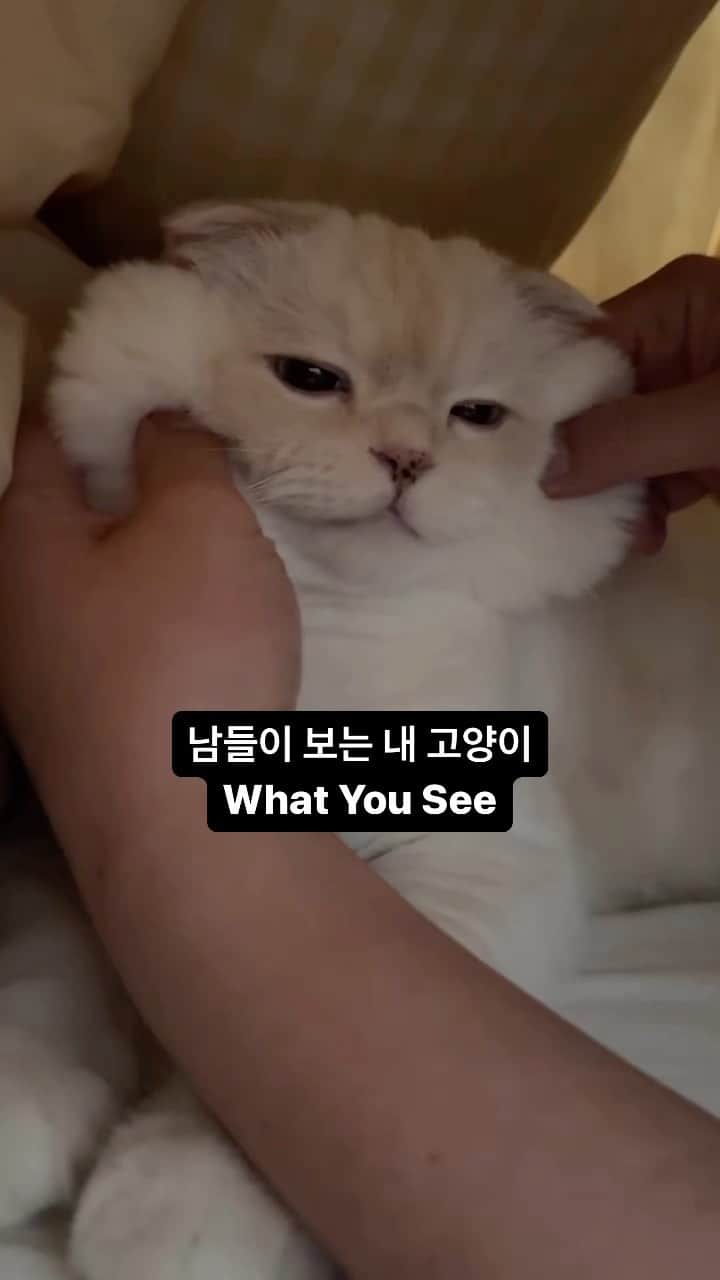 のインスタグラム：「네? 아 이렇게 하는 거 아니라구요?;; #감동와장창  #순무 #SoonMoo」