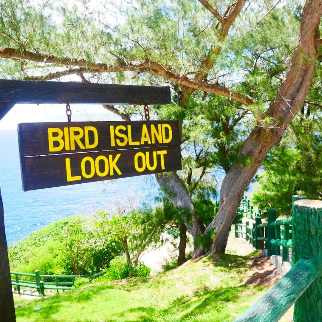 アシアナ航空日本地域公式アカウントさんのインスタグラム写真 - (アシアナ航空日本地域公式アカウントInstagram)「今が熱い！サイパン🌴🥥🌺  ┈┈┈┈┈┈┈┈┈┈  美しい景色が広がる南国のサイパン 写真1枚目から4枚目まではサイパンのバードアイランド🏝️ バードアイランドはチャモロ語で 「イスレタ・マイゴファハンー鳥たちが眠る島」と呼ばれることも。 自然保護区になっているので上陸はできません。 運がよければ海鳥以外に、ウミガメをみることができるかも？🐢⛵️  写真5枚目から7枚目は ガラパンのホテル群の前に広がる、サイパンを代表するビーチ🏝️ サイパンで最も美しいビーチの一つで、朝から晩までに7回色が変わると言われています。 裸足で歩きたくなるきたくなる粒子の細かい白砂が特徴的で 沖にはマニャガハ島が浮かび、もっともサイパンらしい景色が楽しめます  今すぐ行こうよサイパン！ アシアナ航空で仁川乗り継ぎが意外と便利！ 毎日運航中！アシアナでサイパンに行こう✈️  アシアナ航空公式HPにて 📌7月31日まで航空券15％OFFクーポン配布中！ 📌ホテル・ゴルフ場・アクティビティ提携割引も！  📷 マリアナ政府観光局 @mymarianas_mva    ┈┈┈┈┈┈┈┈┈┈   ✈️アシアナ航空日本地域公式アカウント 　　　　@asiana.jp_official  ・知っておきたい韓国旅行情報 ・韓国おすすめスポット ・韓国おすすめグルメ など発信していきます！  ぜひフォローしてください🇰🇷  ┈┈┈┈┈┈┈┈┈┈   #アシアナ航空 #韓国旅行 #韓国 #asiana　#韓国旅行記 #韓国旅行計画中 #韓国旅行情報 #韓国旅行🇰🇷 #韓国行きたい #サイパン #北マリアナ諸島 #サイパン旅行 #サイパン韓国2都市旅 #サイパンホテル #サイパンビーチ #サイパン女子旅 #サイパン観光 #バードアイランド #絶景ビーチ #マイクロビーチ #海外ビーチ #ビーチリゾート」7月28日 21時00分 - asiana.jp_official