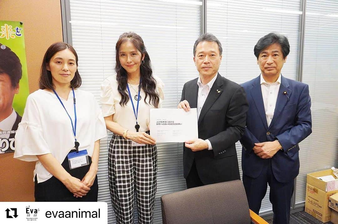 杉本彩さんのインスタグラム写真 - (杉本彩Instagram)「#Repost @evaanimal with @use.repost ・・・ 7月27日Evaは、かねてから動物虐待ではないかと指摘されていた上げ馬神事について、田村憲久元厚労大臣ご同席のもと、一見勝之三重県知事にお時間をいただき、NPO法人アニマルライツセンターと共に動物への扱いの改善をお願いしました。 一見勝之知事と田村憲久議員からは、上げ馬神事について過去に4頭もの馬が転倒し安楽死させられていることについて、非常に危険を伴い改善していかなくてはならない事案であるとのお言葉をいただきました。 またこれまで多くの批判が集まっているにも関わらず開催されることについて、伝統的神事であるがゆえに地元のご年配の方々のご理解を得ることが難しいとのお話しもありました。ですが、伝統文化というものは、その時代に合わせて形を変えるからこそ継承されるものです。ましてや過去の記録には、壁を飛び越えたり坂の角度については一切書かれてなく、サラブレットが導入された現代において迫力があるだろうということで、過去の環境とは大きく異なる急坂と垂直の壁を障害とし、そこを全力疾走させています。  5月の農水委員会の参考人質疑では、環境省から引退馬も愛護動物であり、その愛護動物に対し、正当な理由があったとしても手段が容認される範囲を超える場合は、動物殺傷・動物虐待罪が成立するとのご返答がありました。 そのため、動物愛護法違反の可能性も非常に高いこの神事について、生きた馬を利用するのを止める代替法に変更するか、馬を使うのであれば障害物である急坂と垂直壁の撤去や走路の改善、動物を適切に扱うための方法についてご提案させていただきました。 提案について、一見知事、田村議員からはぜひ上げ馬神事の奉納団体にも直接お話しいただくようアドバイスいただきましたので、引き続き地元の運営団体に改善の要望をお伝えするためにお時間をいただく予定です。上げ馬神事は海外メディアも大きく報道しています。多くの関心が寄せられている中、納得できる改善に繋げるためにも引き続き活動してまいります。 #上げ馬神事  #多度大社  #多度大社の上げ馬廃止を求めます  #アニマルライツセンター  #動物環境福祉協会eva  #杉本彩」7月28日 15時44分 - sugimoto_aya0719