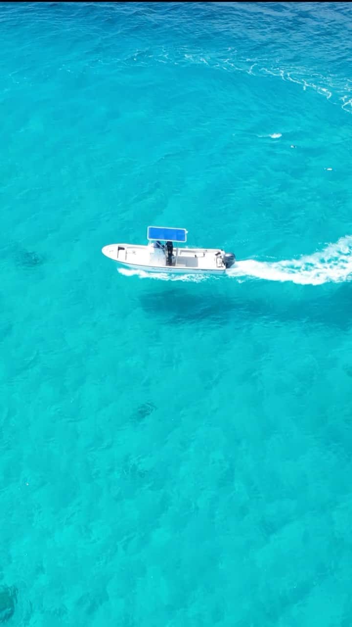 HAIMURUBUSHI はいむるぶしのインスタグラム：「小浜島・はいむるぶしから癒しの風景をお届けします。 青く煌めく八重山ブルーの海を滑走するレジャーボート。 ティダ(太陽)の陽射しに照らされて、海底に写し出された影によって宙に浮いたように見えます。 #沖縄 #八重山諸島 #離島 #サンゴ礁 #海 #ボート #景色 #夏 #旅行 #小浜島 #リゾート #ホテル #はいむるぶし  #japan #okinawa #island #summer #travel #blue #sea #lagoon #boat #resort #hotel #haimurubushi」